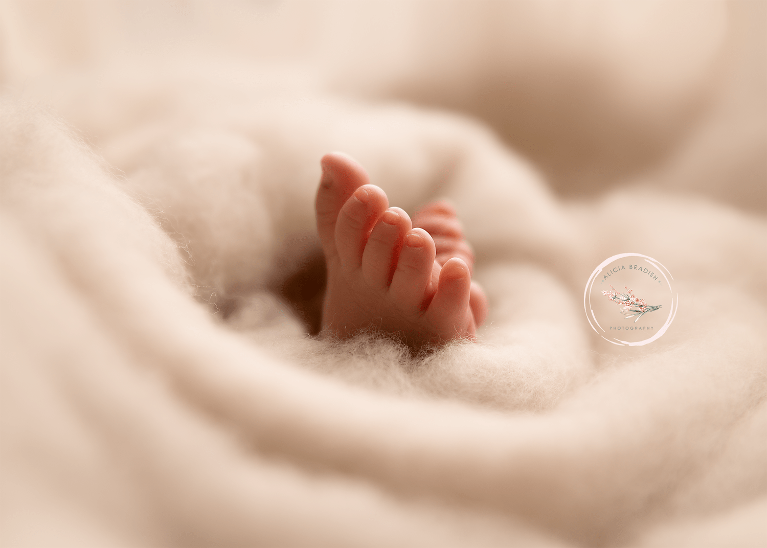 washington dc newborn baby photography