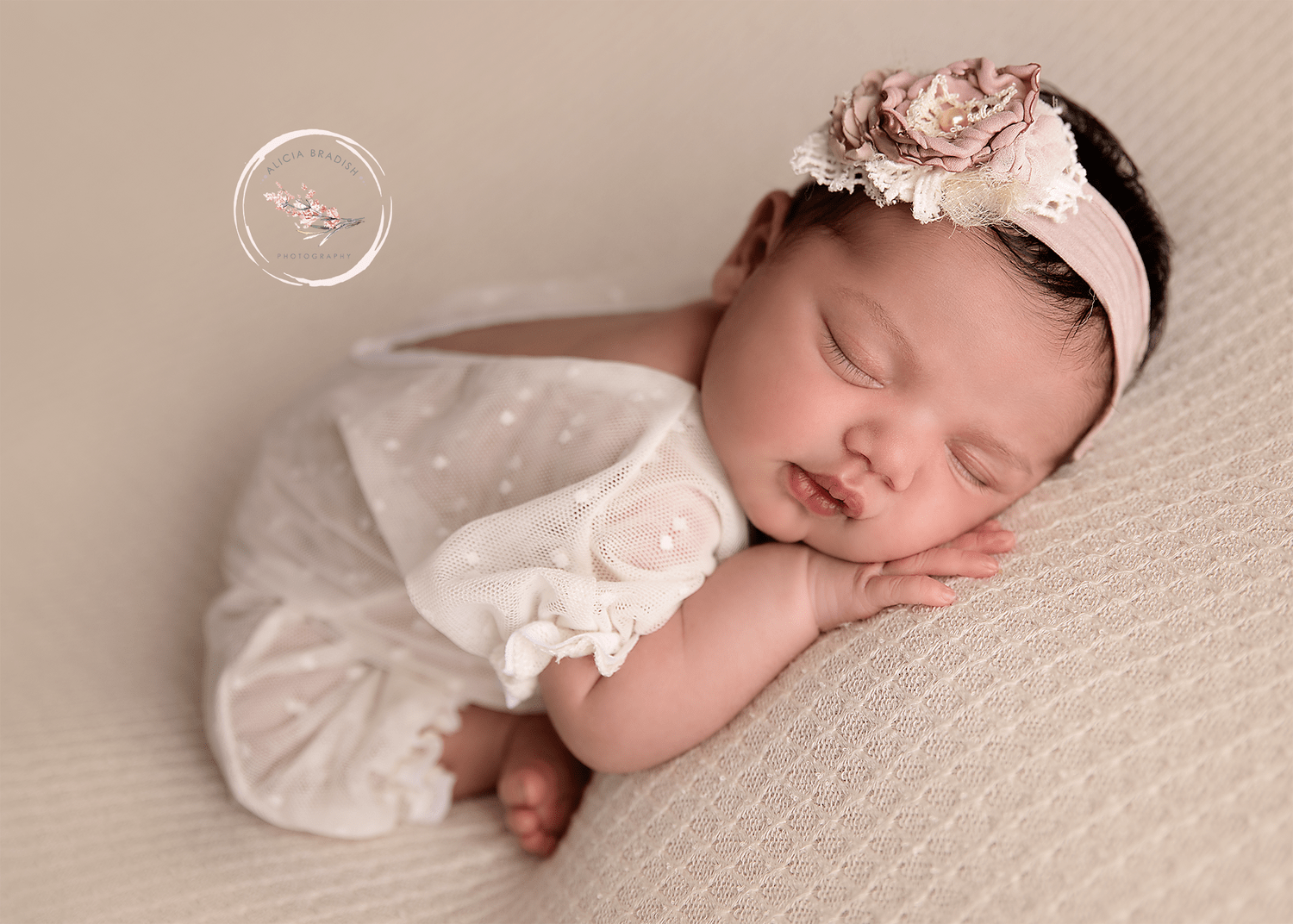     best newborn photography washington dc