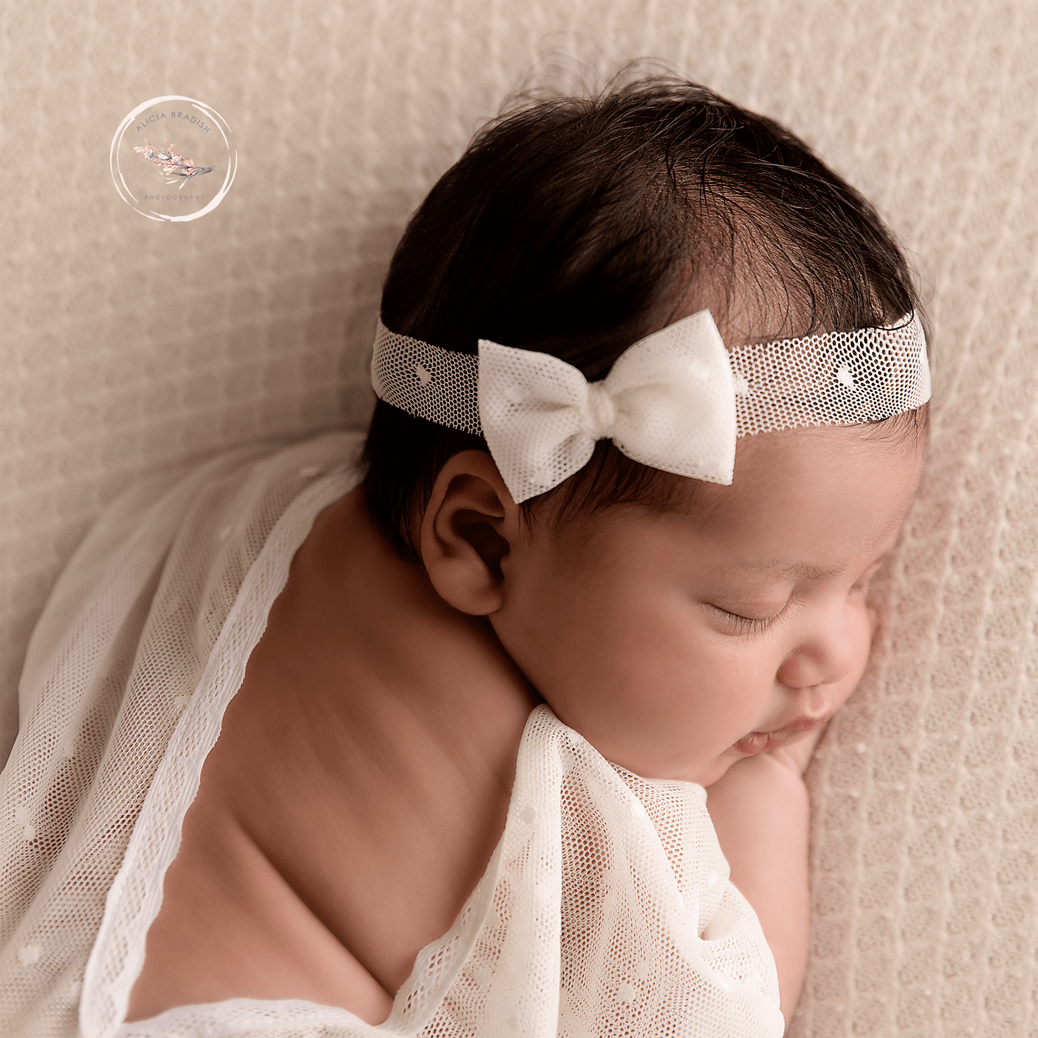   newborn photography washington dc