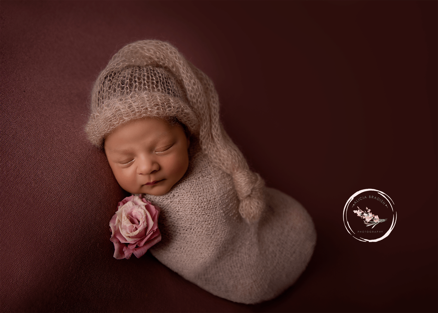   washington dc baby photography