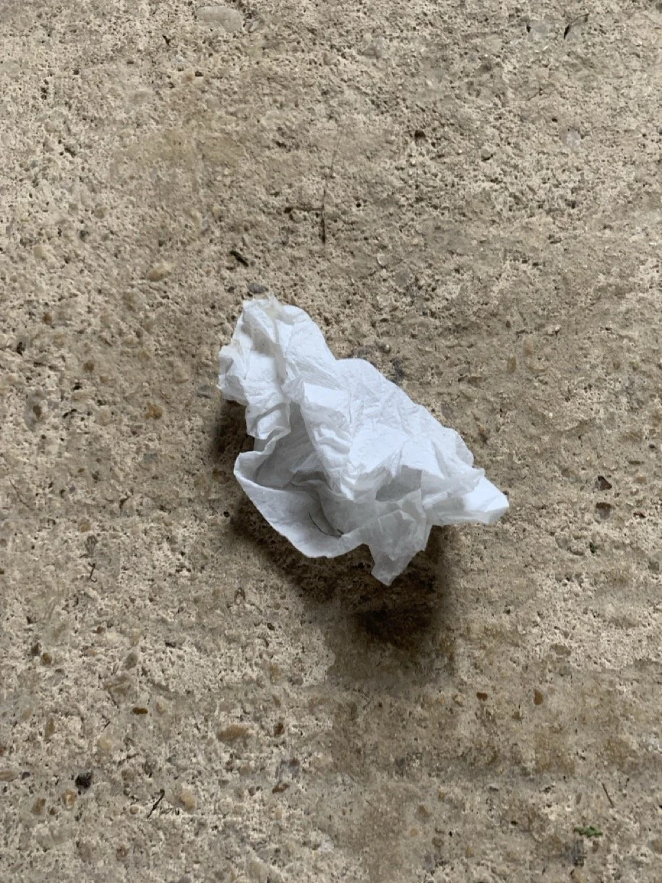 Newbridge - Tue - Graham