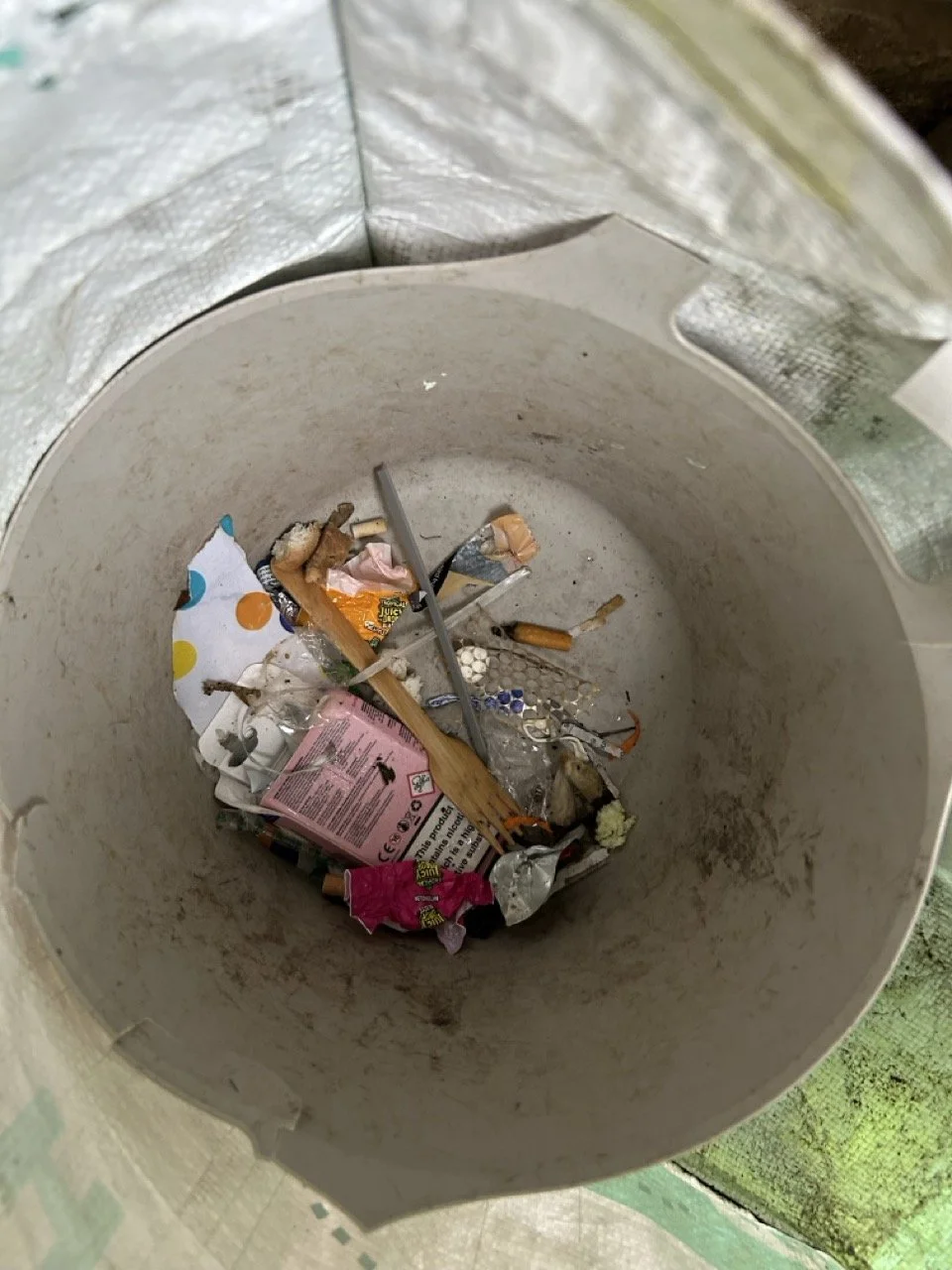 Delfin - Tue - John & Sue