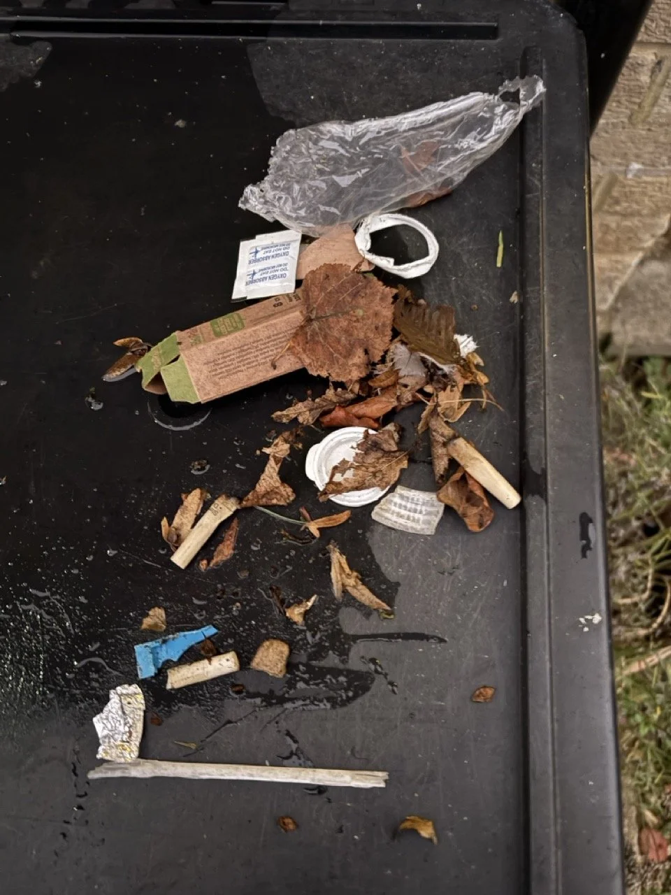 Hart - Tue - Janet & Rachel