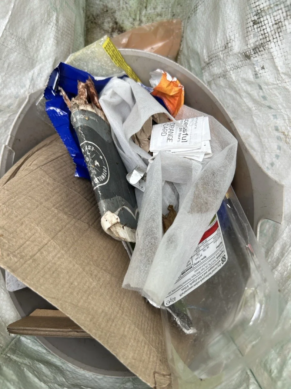 Delfin - Tue - John & Sue