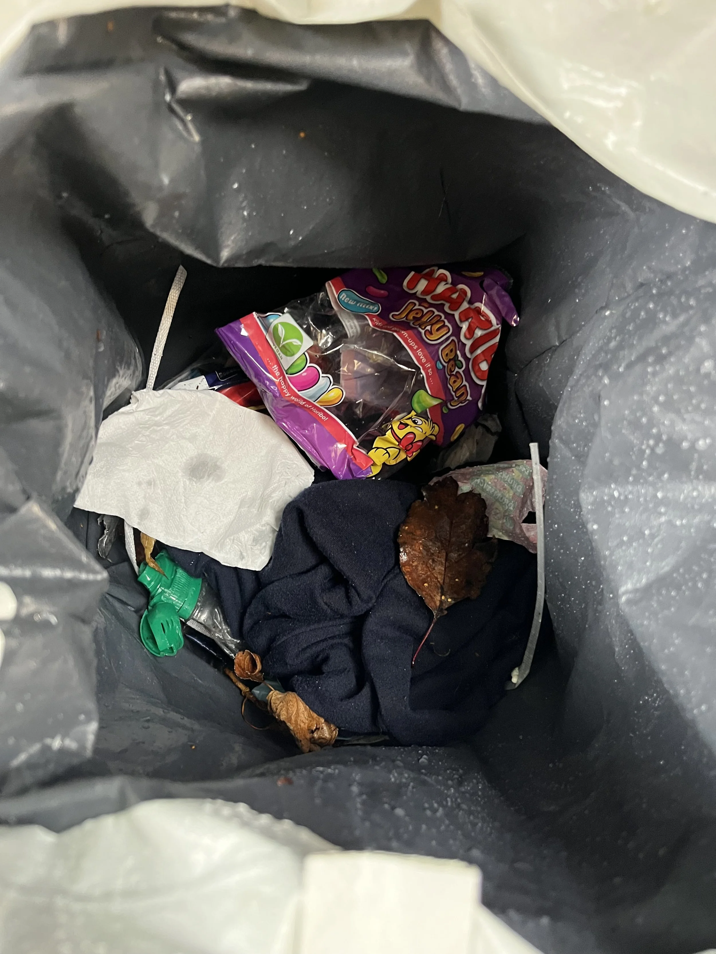 Sandy - Sun - Billy (DofE Gold)