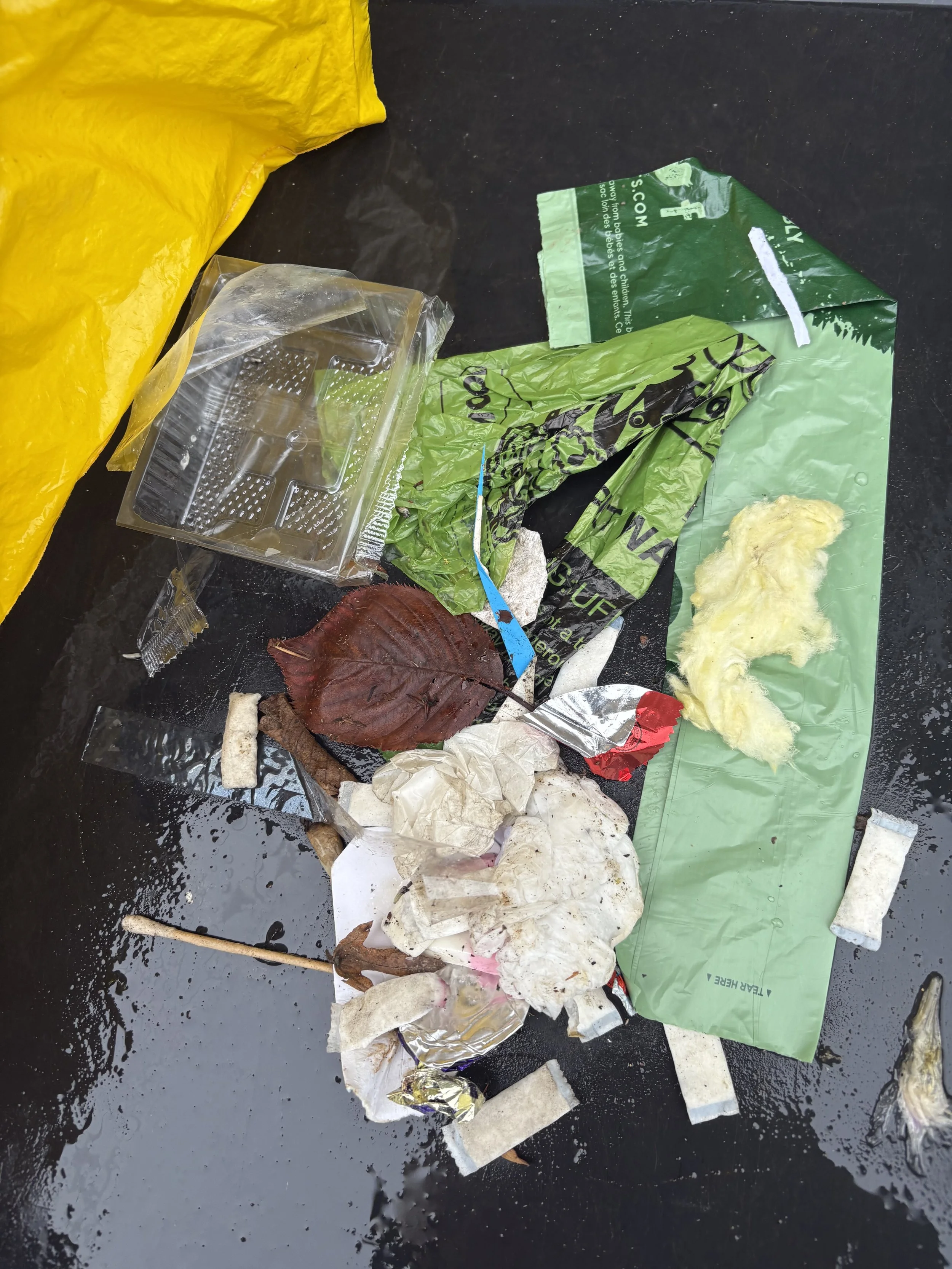 Hart - Thu - Janet & Rachel