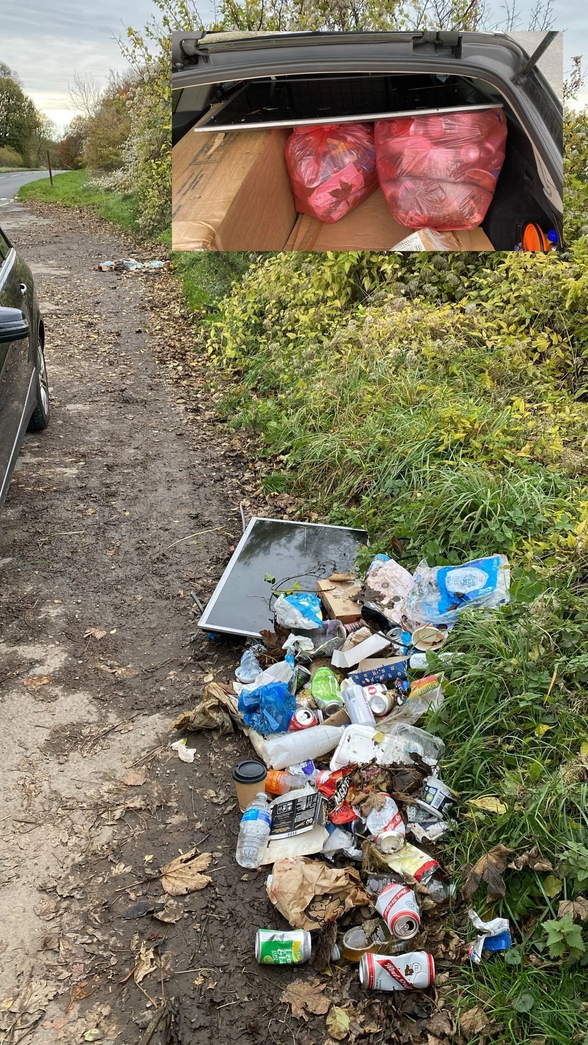 Lay-by on the A424 above Wyck Hill House ~ 26th ~ Luke