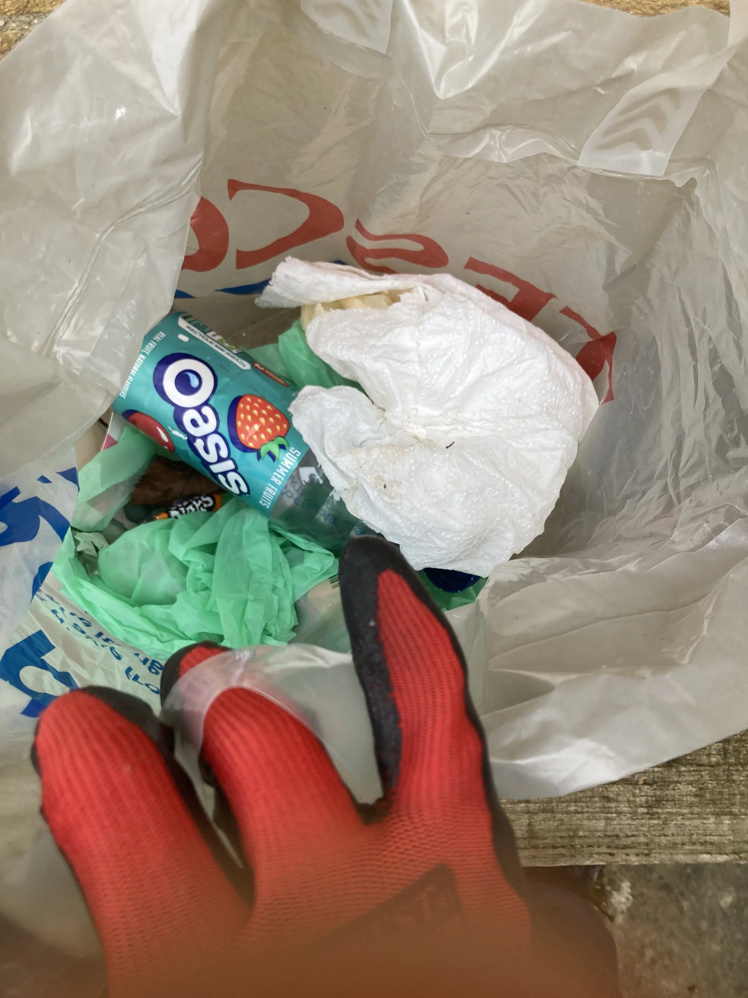 Sandy - Sun - Billy (DofE Gold)