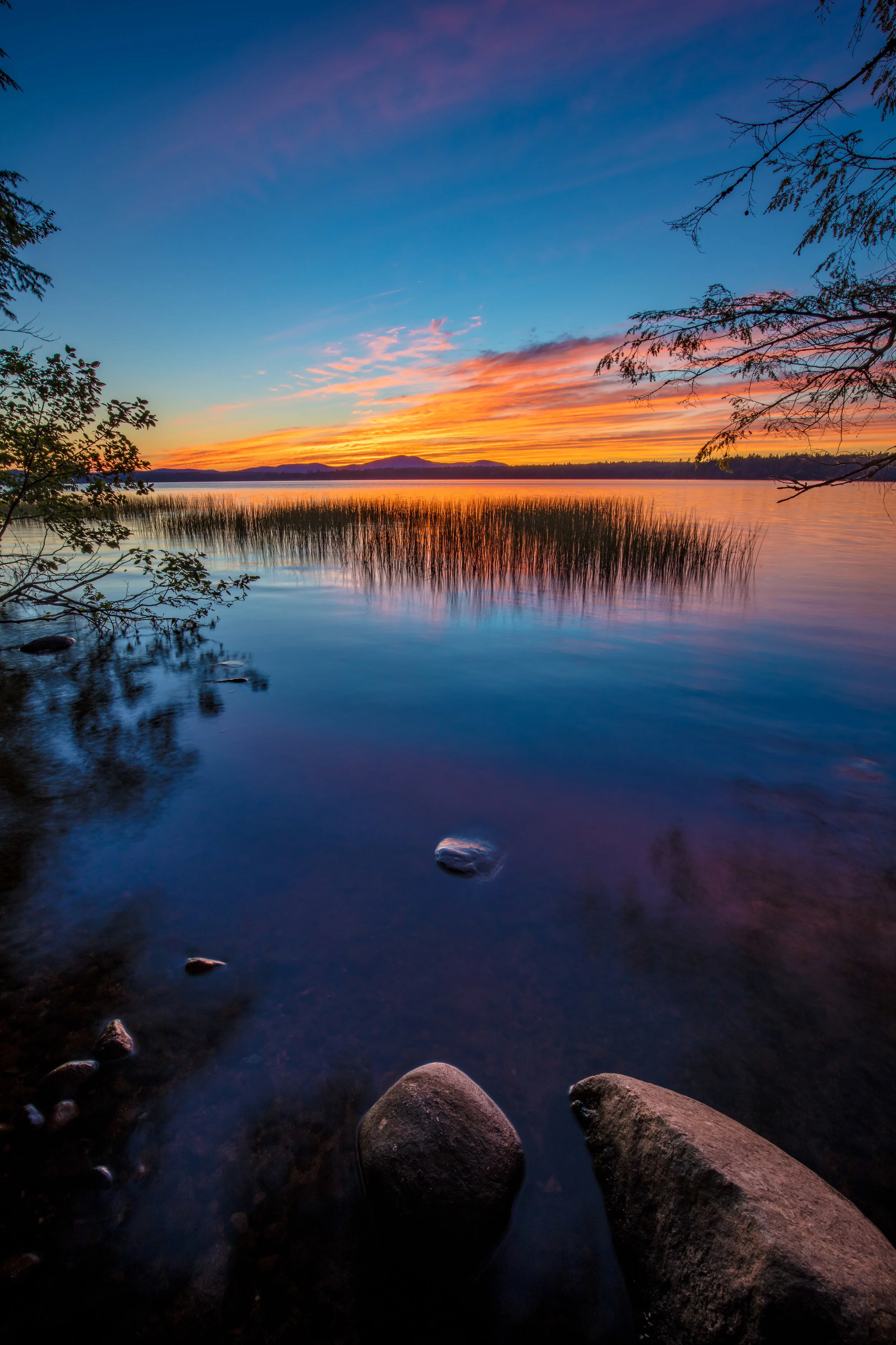 Adirondack Experience