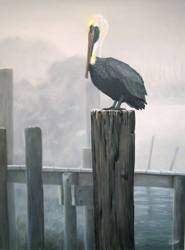Aransas Artists for Nature
