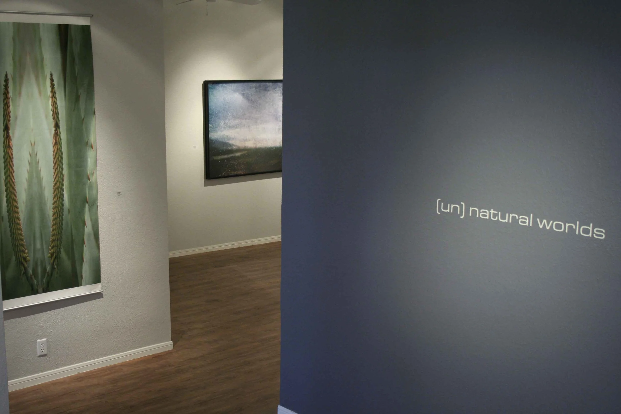 unnatural-worlds_rca_fall-2009_04_4245895305_o.jpg