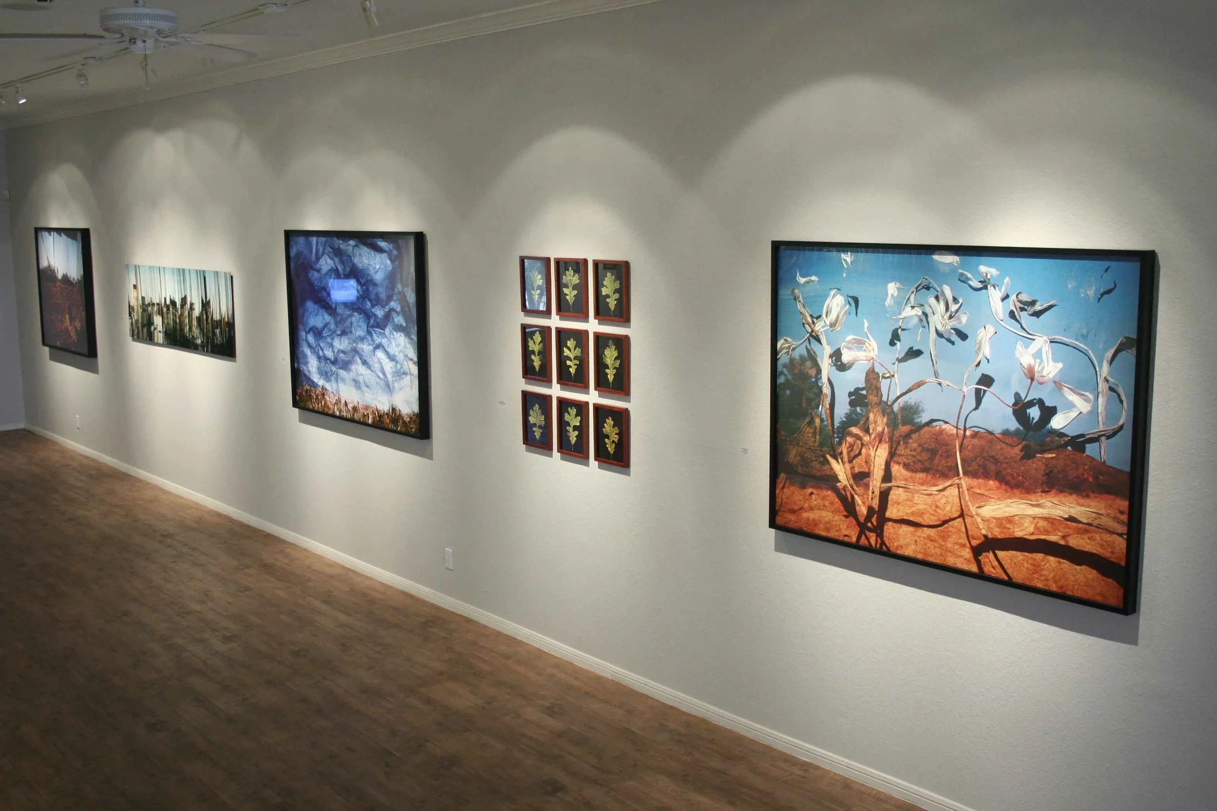 unnatural-worlds_rca_fall-2009_07_4246668242_o.jpg