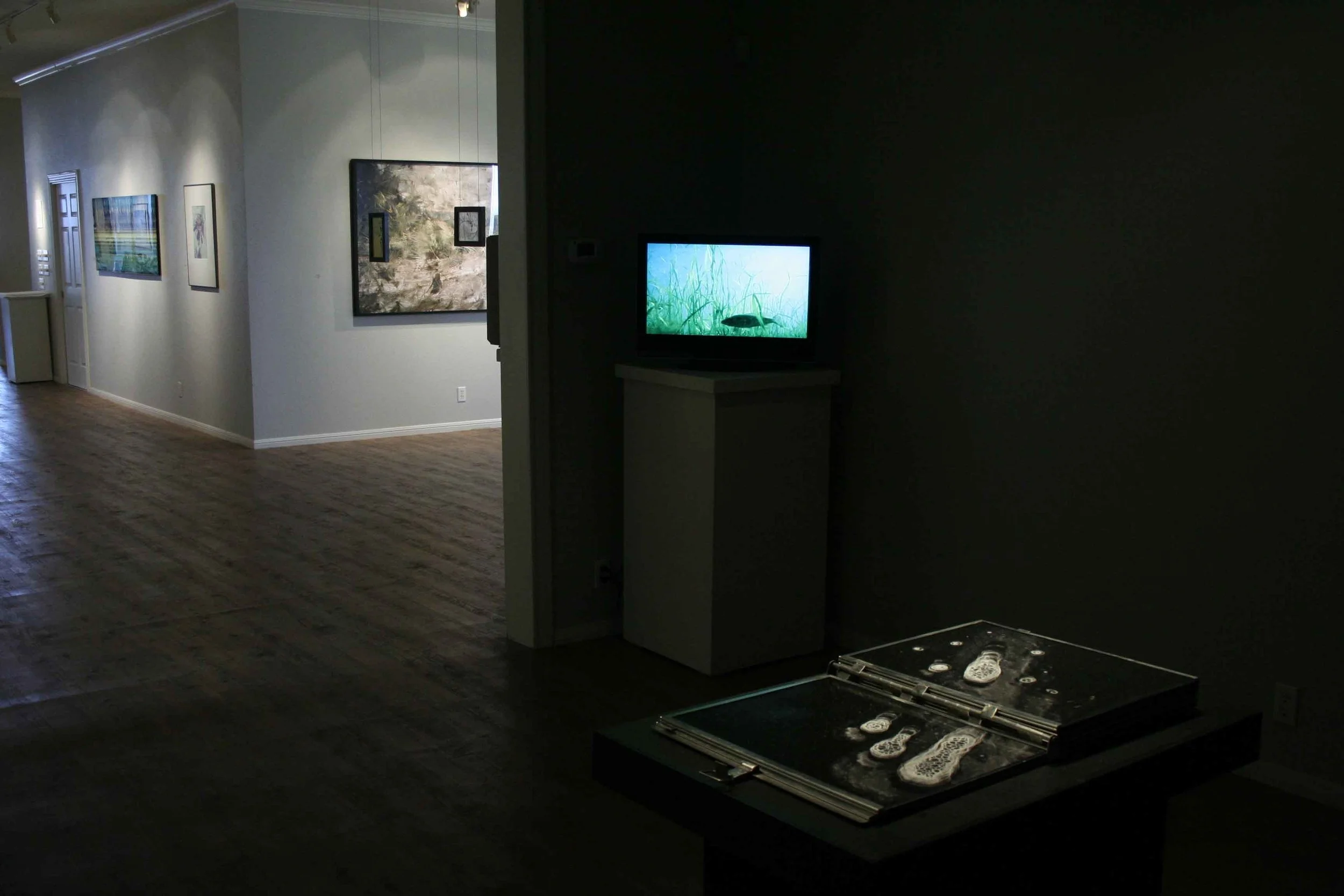 unnatural-worlds_rca_fall-2009_24_4246674190_o.jpg