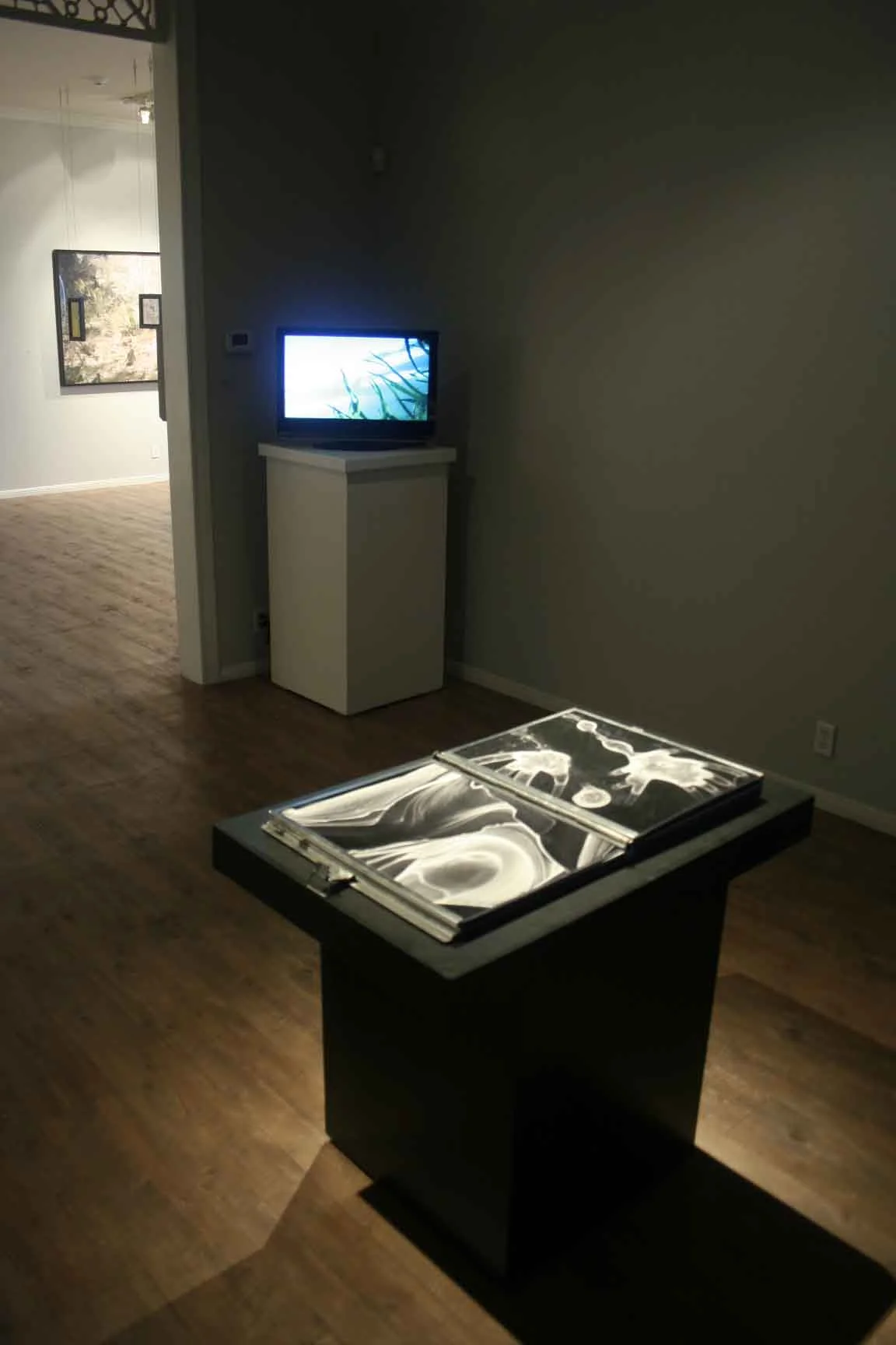 unnatural-worlds_rca_fall-2009_26_4245901109_o.jpg