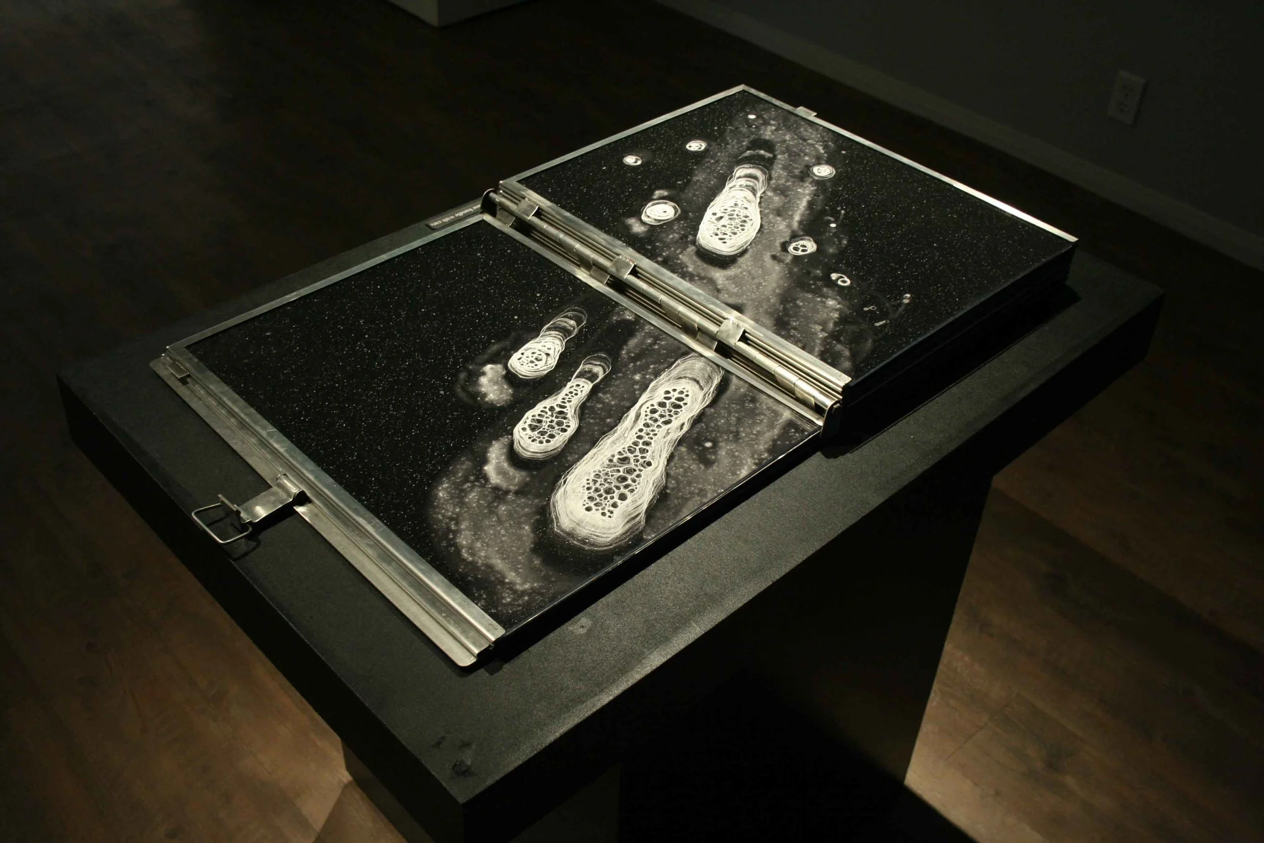 unnatural-worlds_rca_fall-2009_25_4246662996_o.jpg