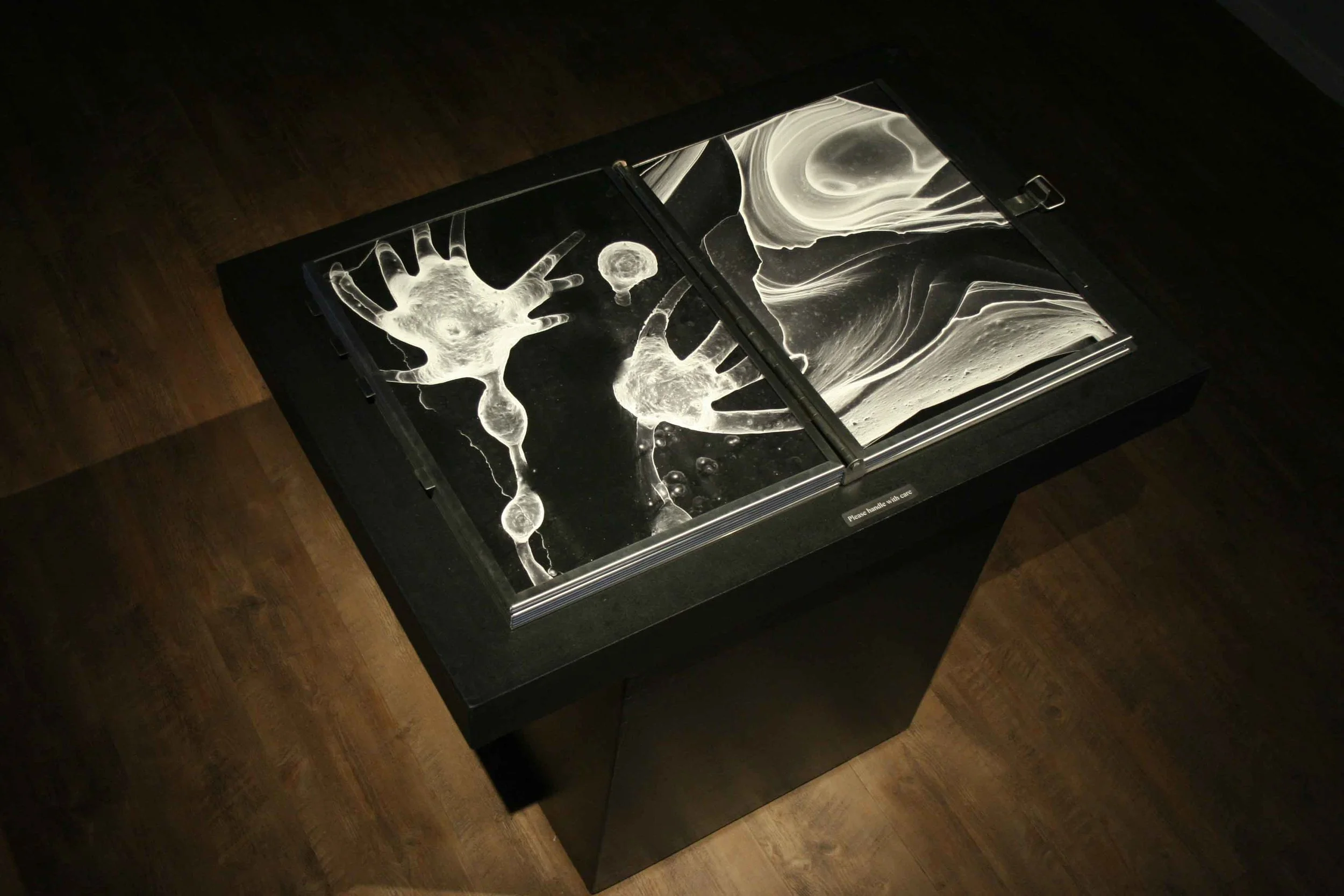 unnatural-worlds_rca_fall-2009_27_4245889653_o.jpg
