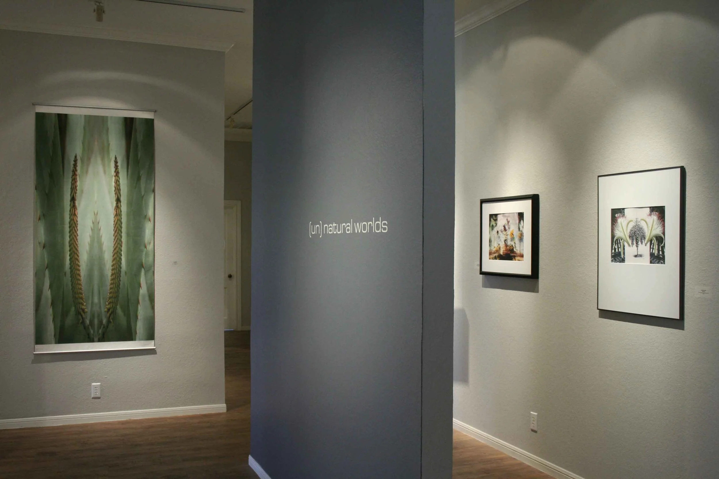unnatural-worlds_rca_fall-2009_43_4246669900_o.jpg