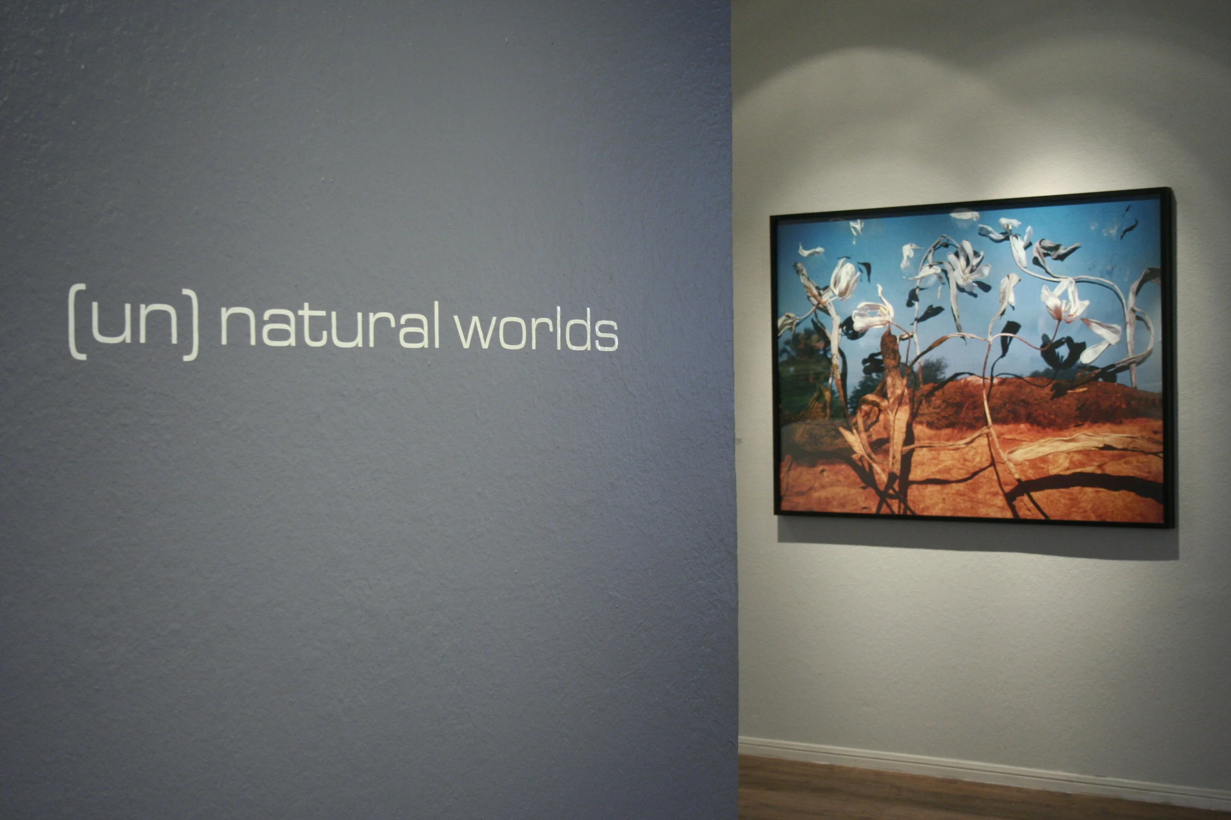 (un)natural worlds