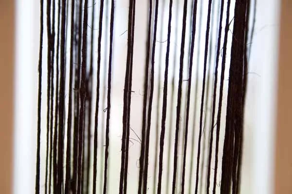 sylvia0083_5011707403_o.jpg