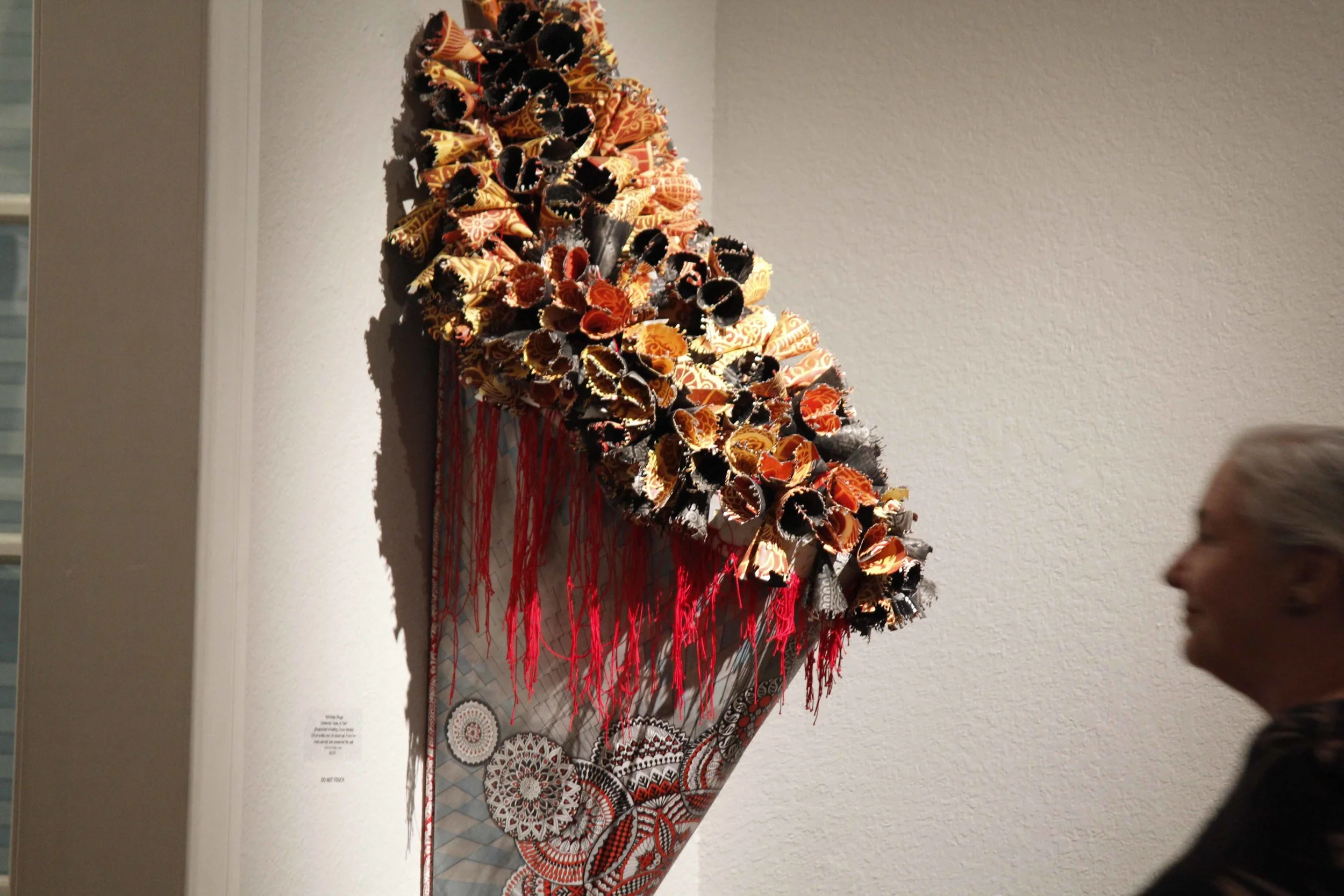 risingeyesoftexas201200_6981019117_o.jpg