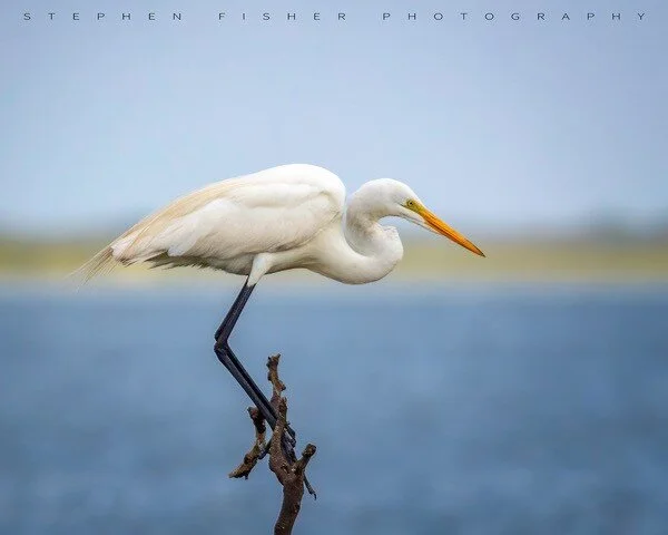 The Healing Effects of Digital Photography :: With Stephen Fisher 