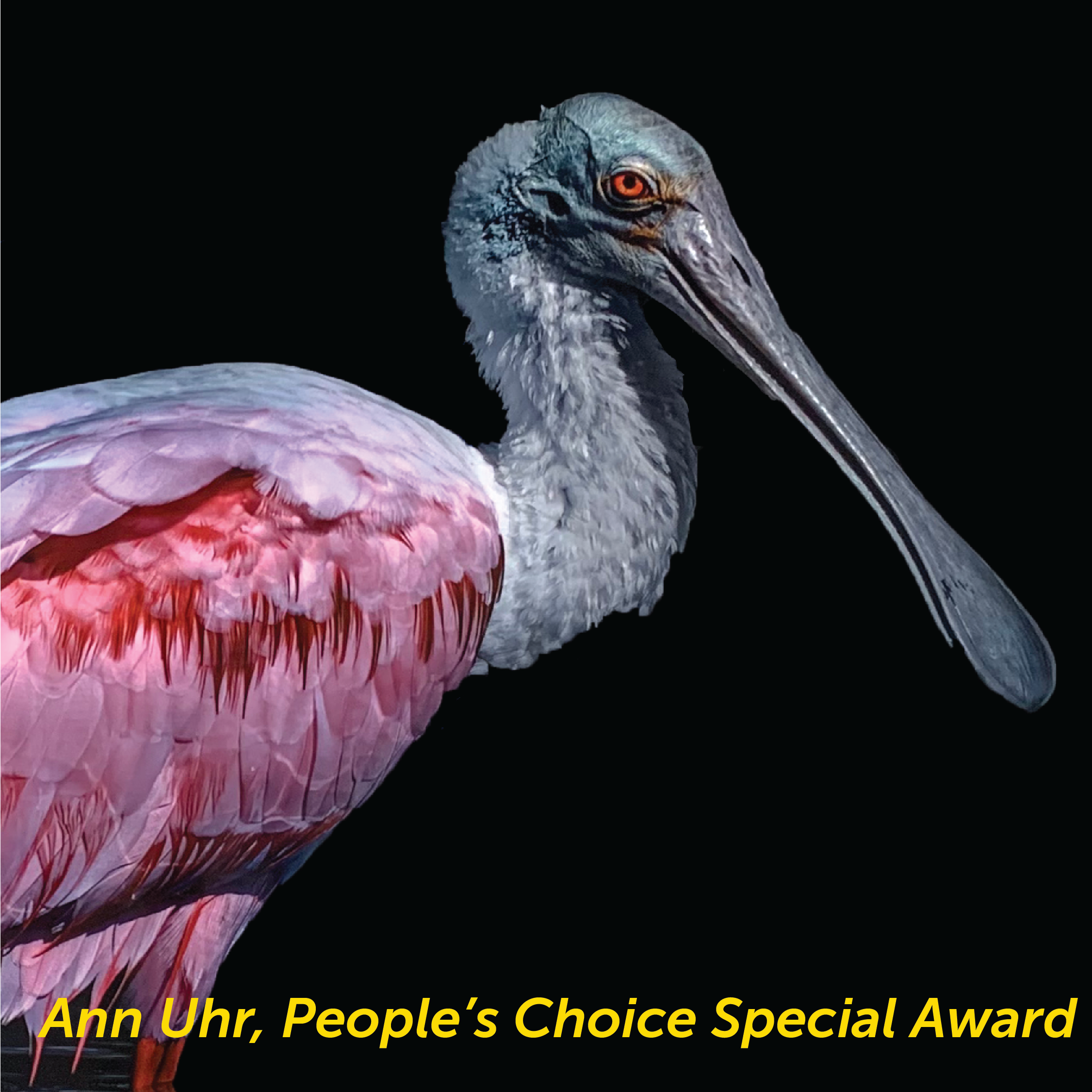 anouncement-04.png