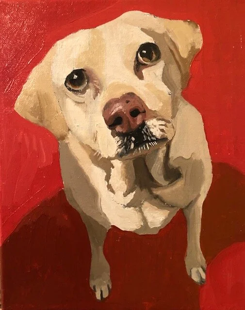 Pet Portrait Class :: Emmet Duggan