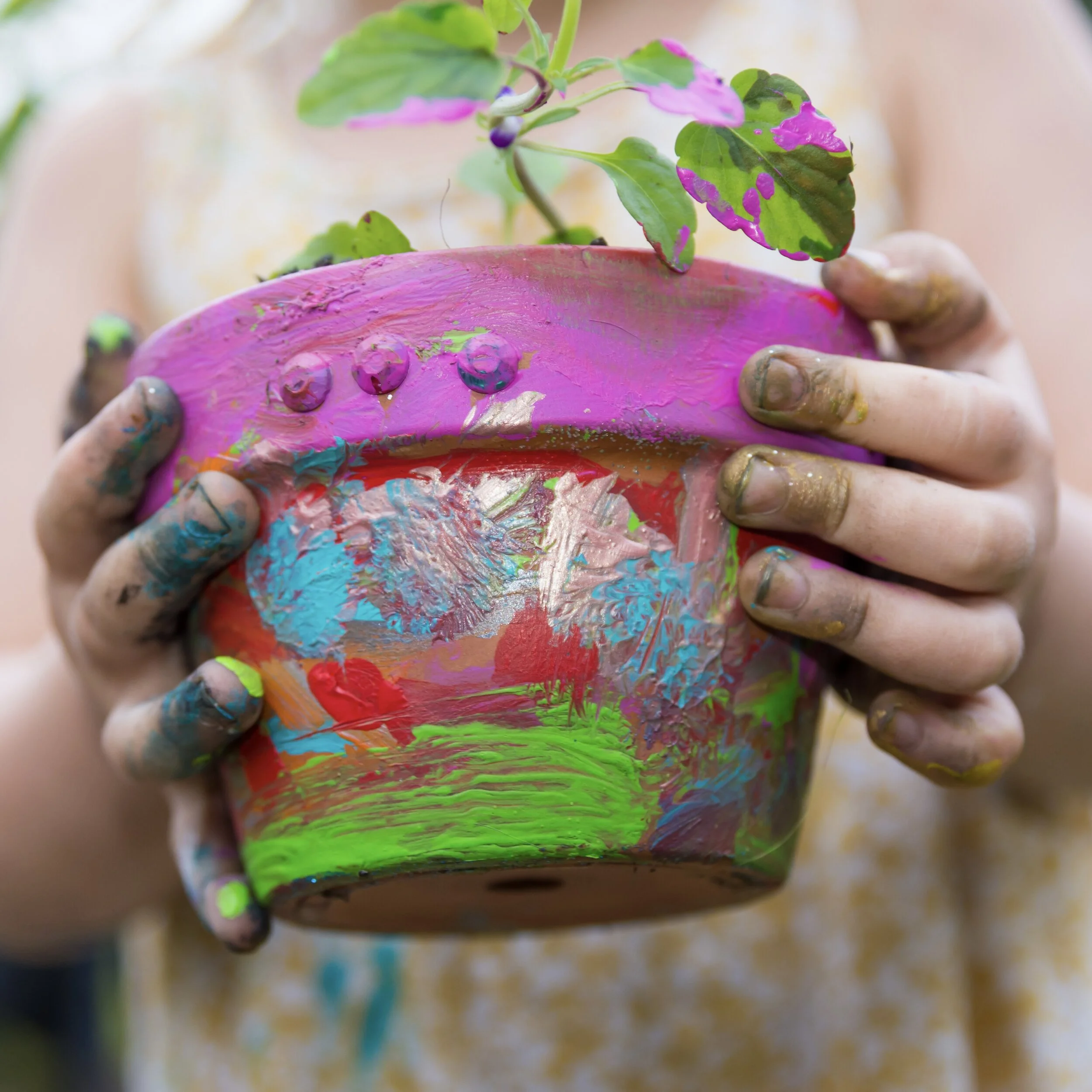 Paint Your Own Planter