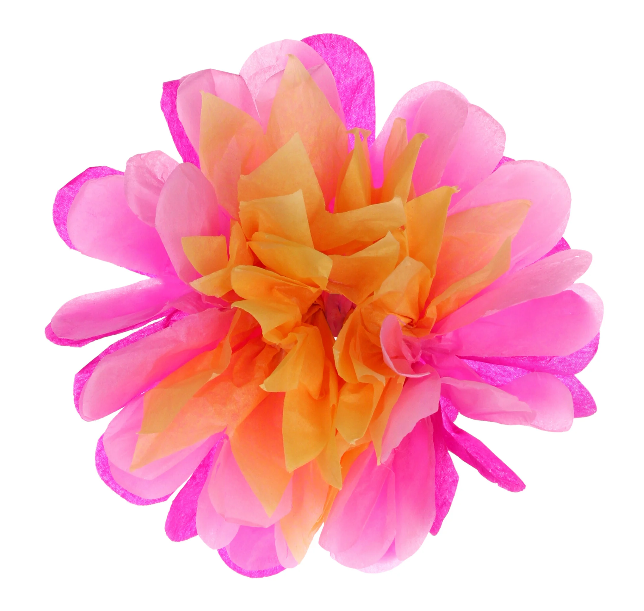 Tissue Paper Flowers