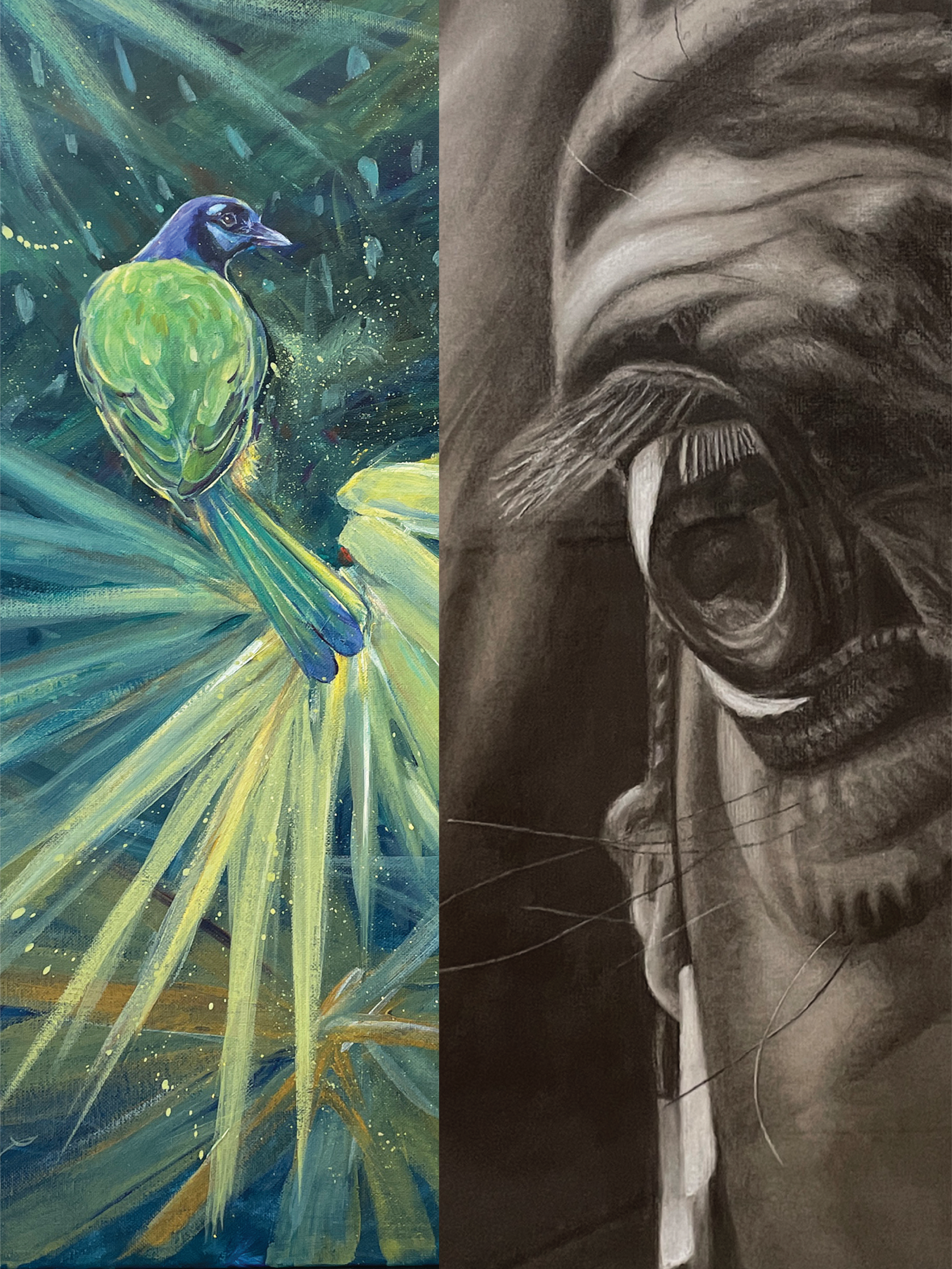 Opening Receptions