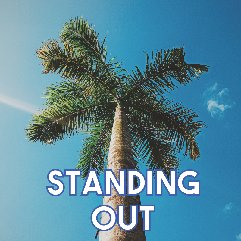 Apply to Standing Out 2023