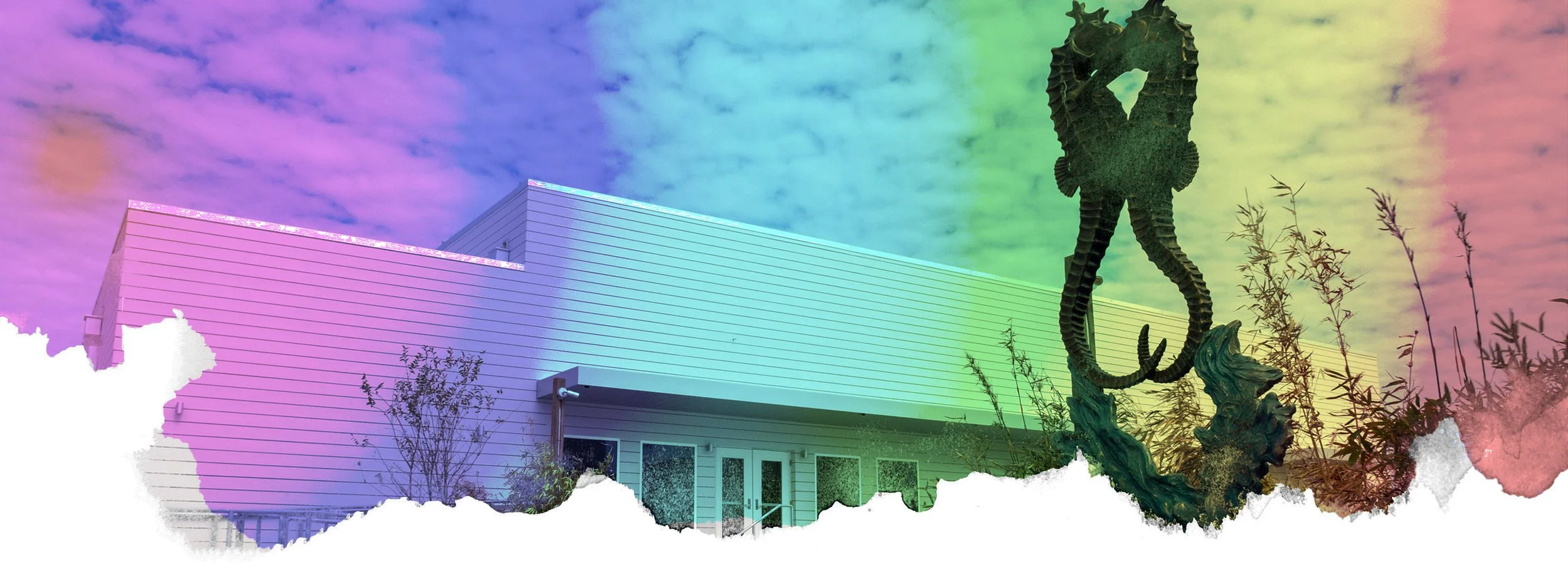 header copy.jpg