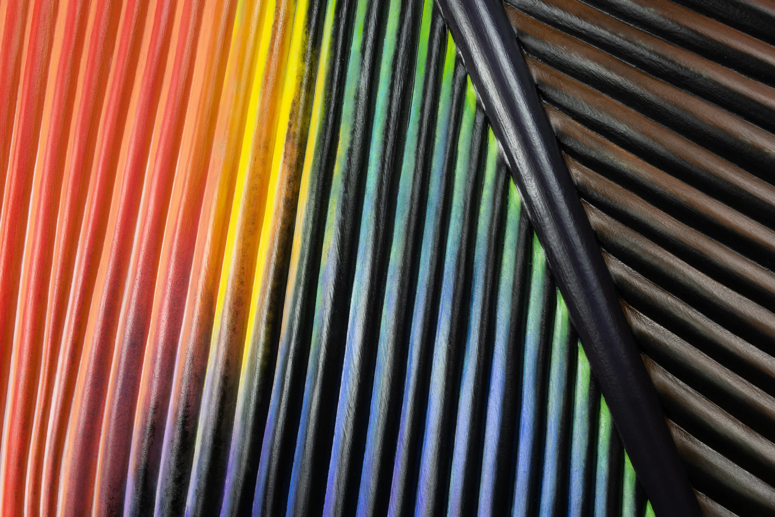 Carving and Painting a Feather with Spencer Tinkham