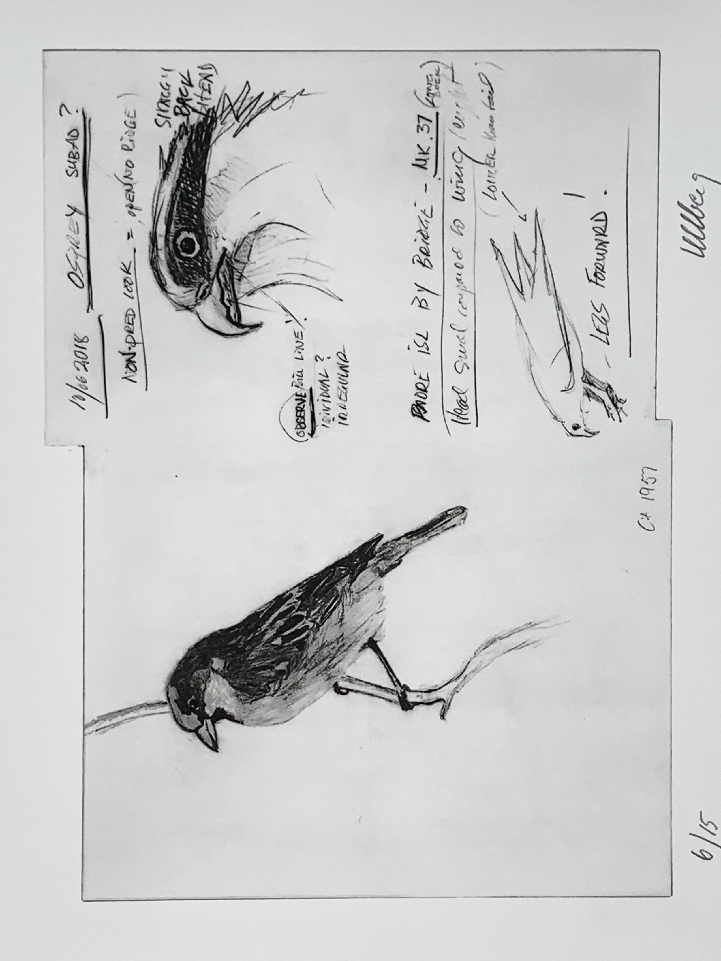 folio-6.jpg