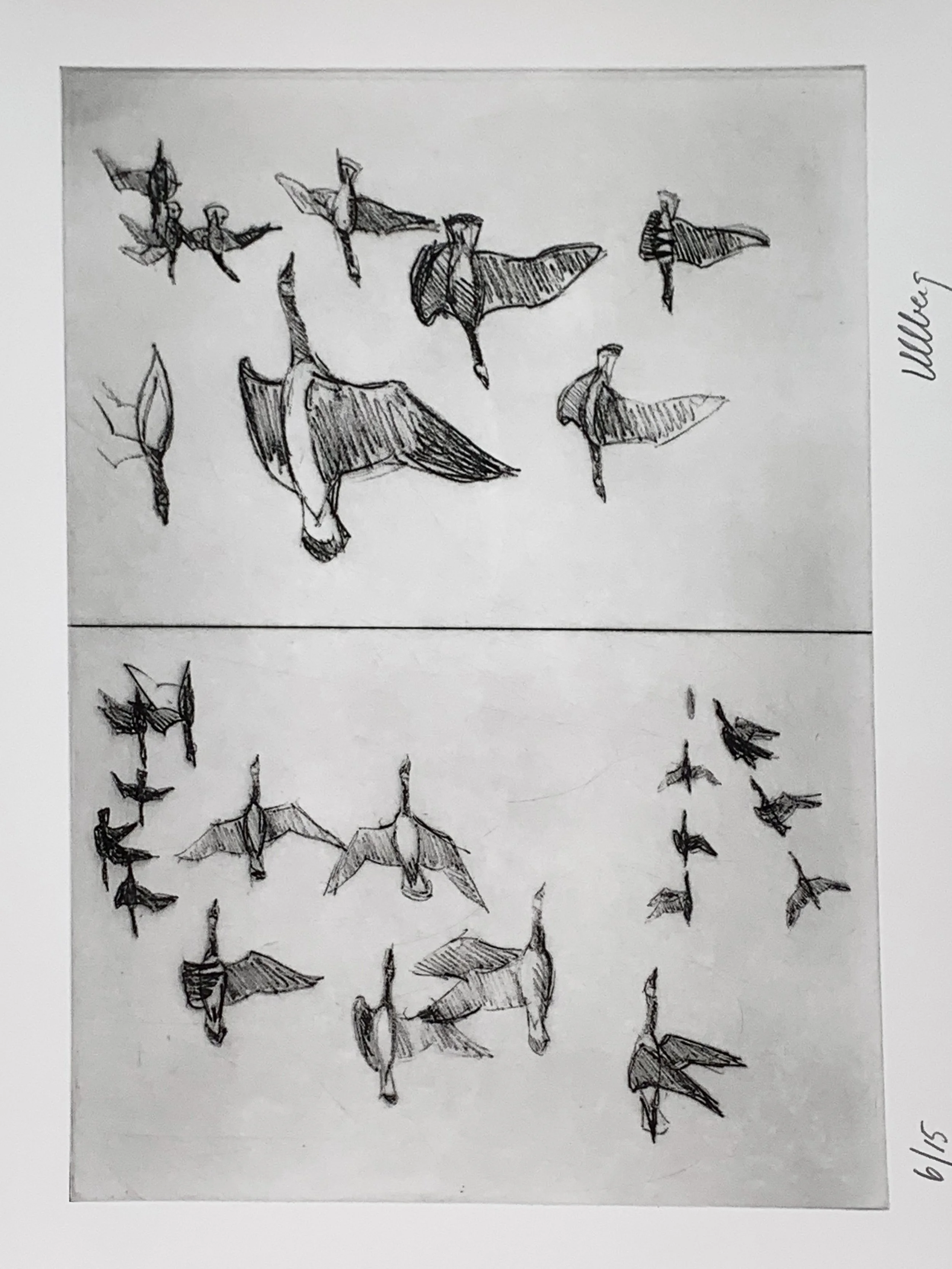 folio-4.jpg