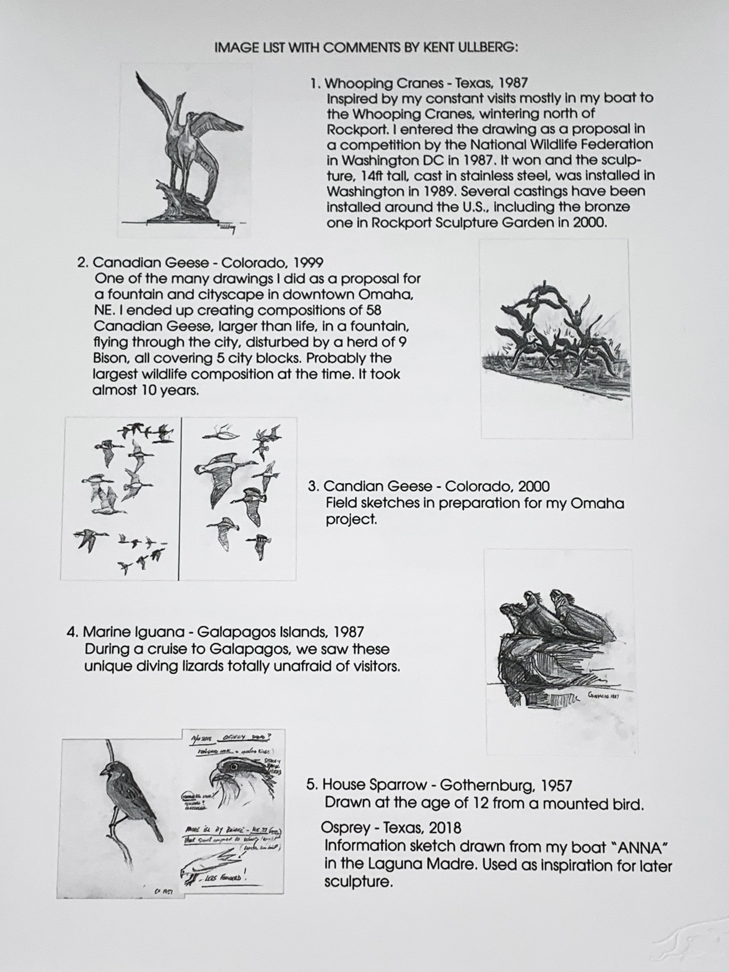 folio-8.jpg