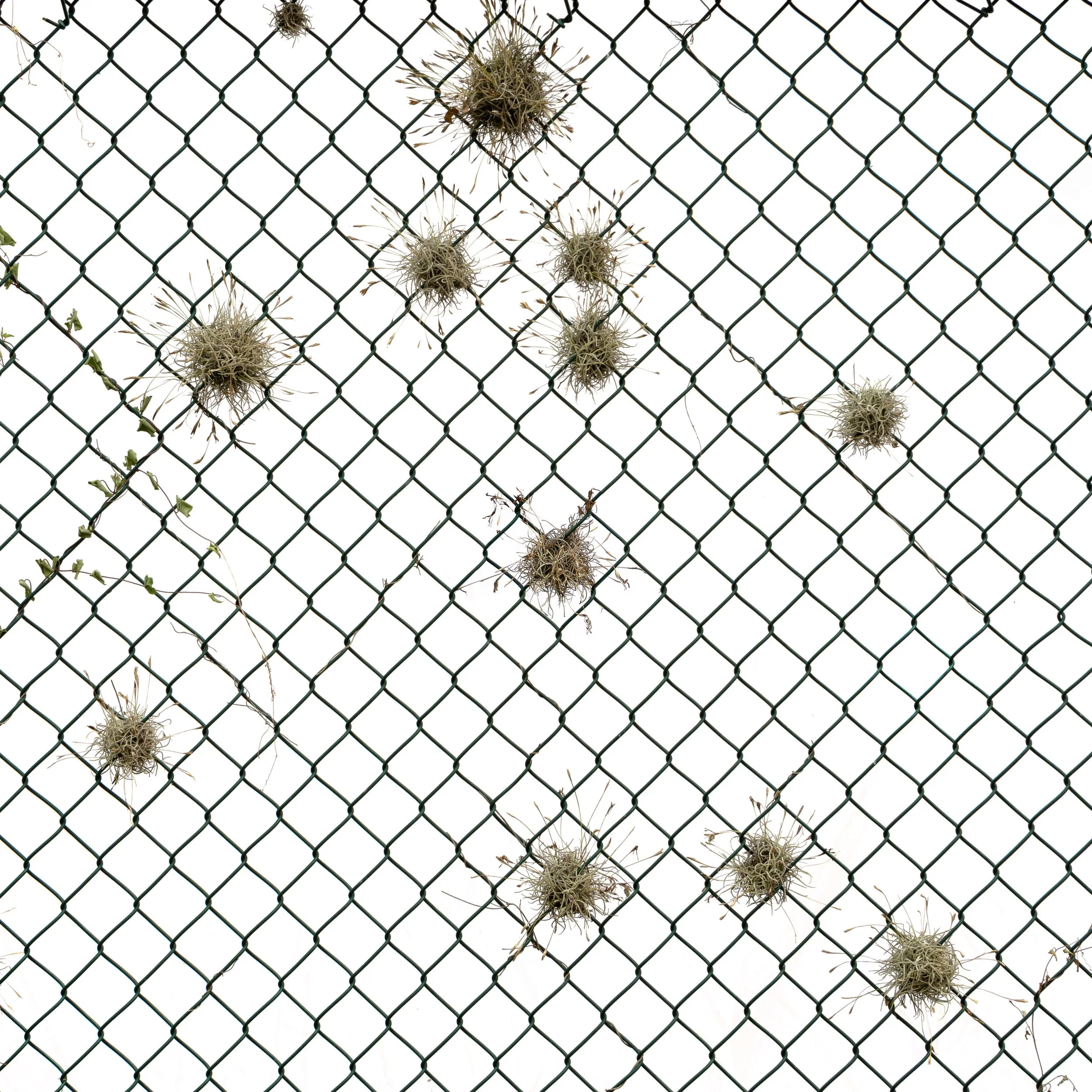 ChainLink.jpg