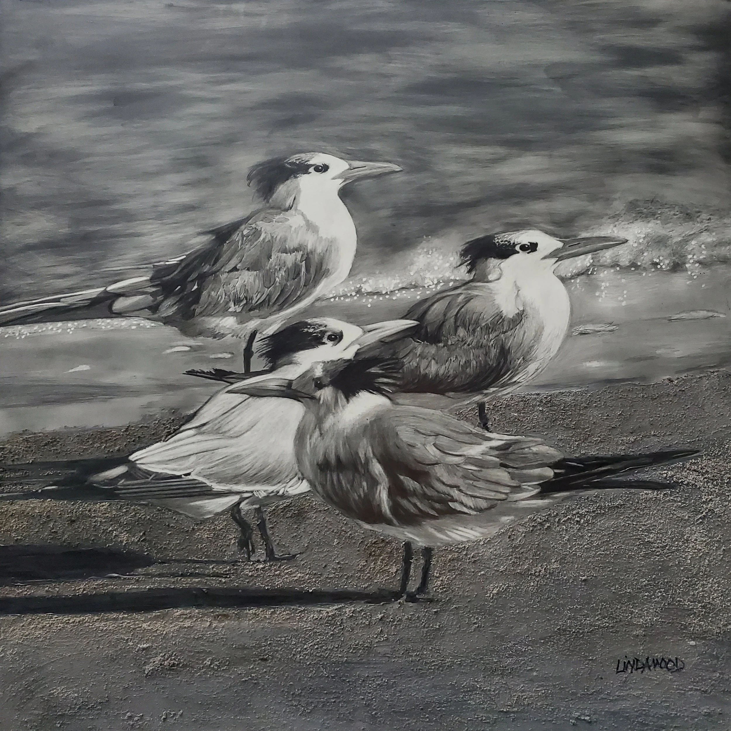 Someone Didn_t Get the Memo .jpg