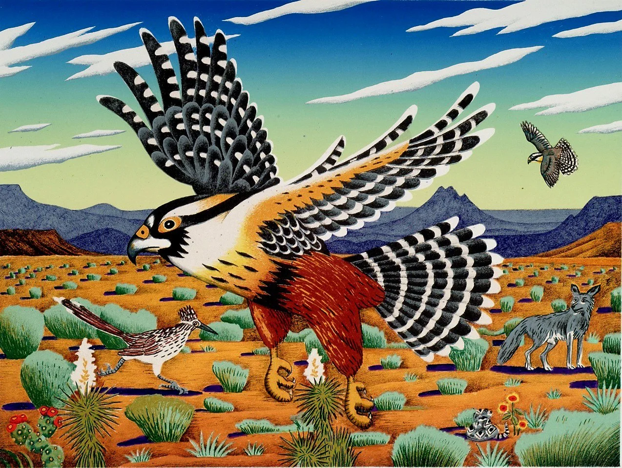 APLOMADO FALCON color lithograph18x24 inches.jpg