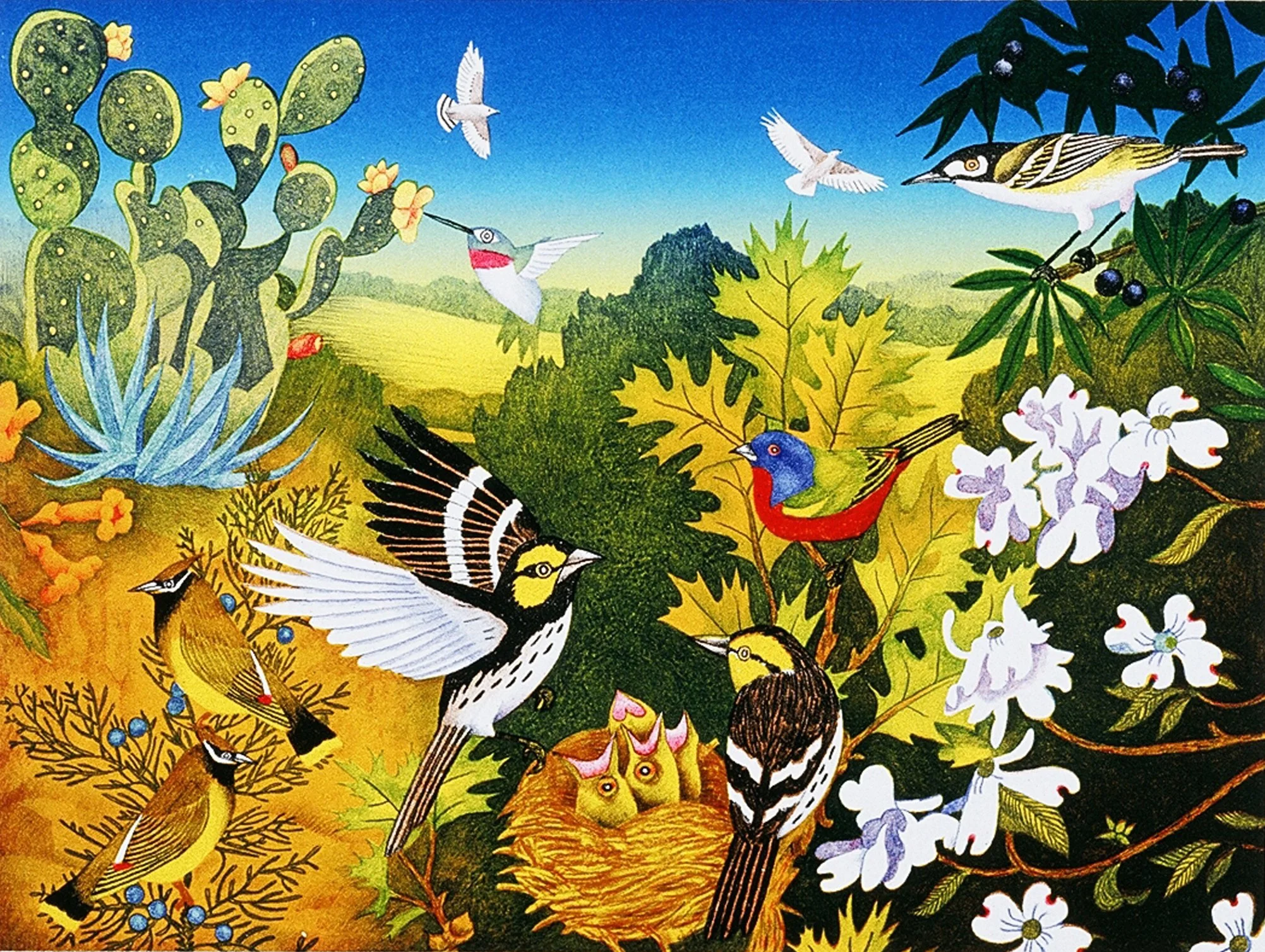 DOGWOOD CANYON color lithograph 18x24 inches.jpg