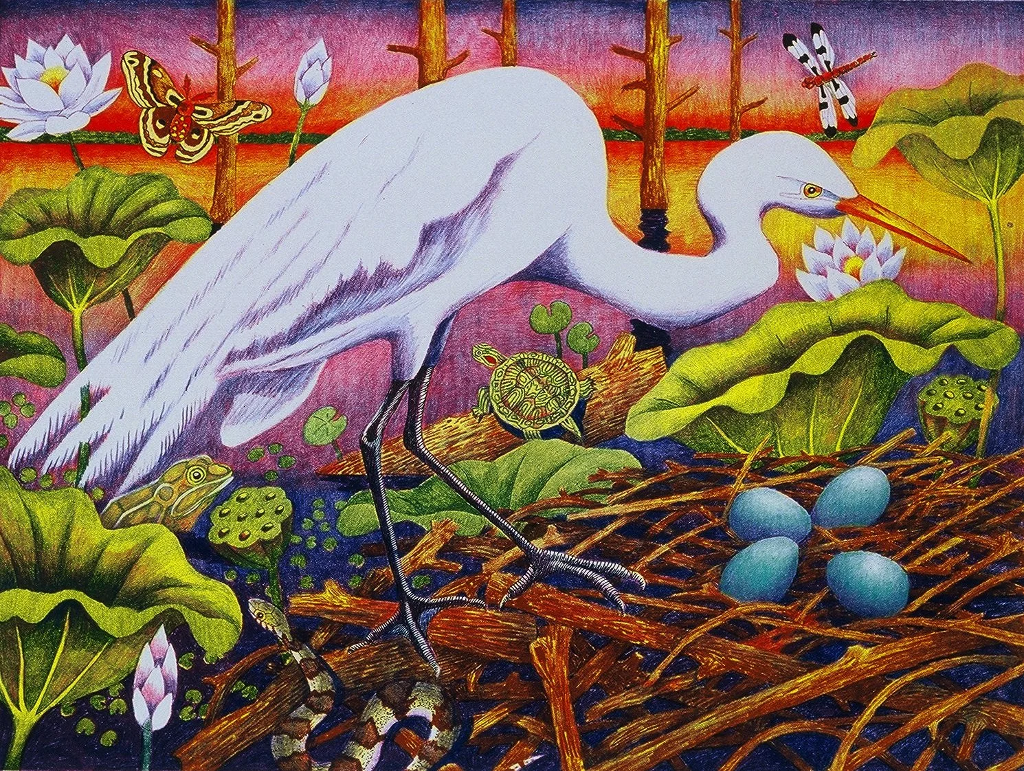 GREAT EGRET WITH FOUR BLUE EGGS color lithograph 18x24 inches.jpg