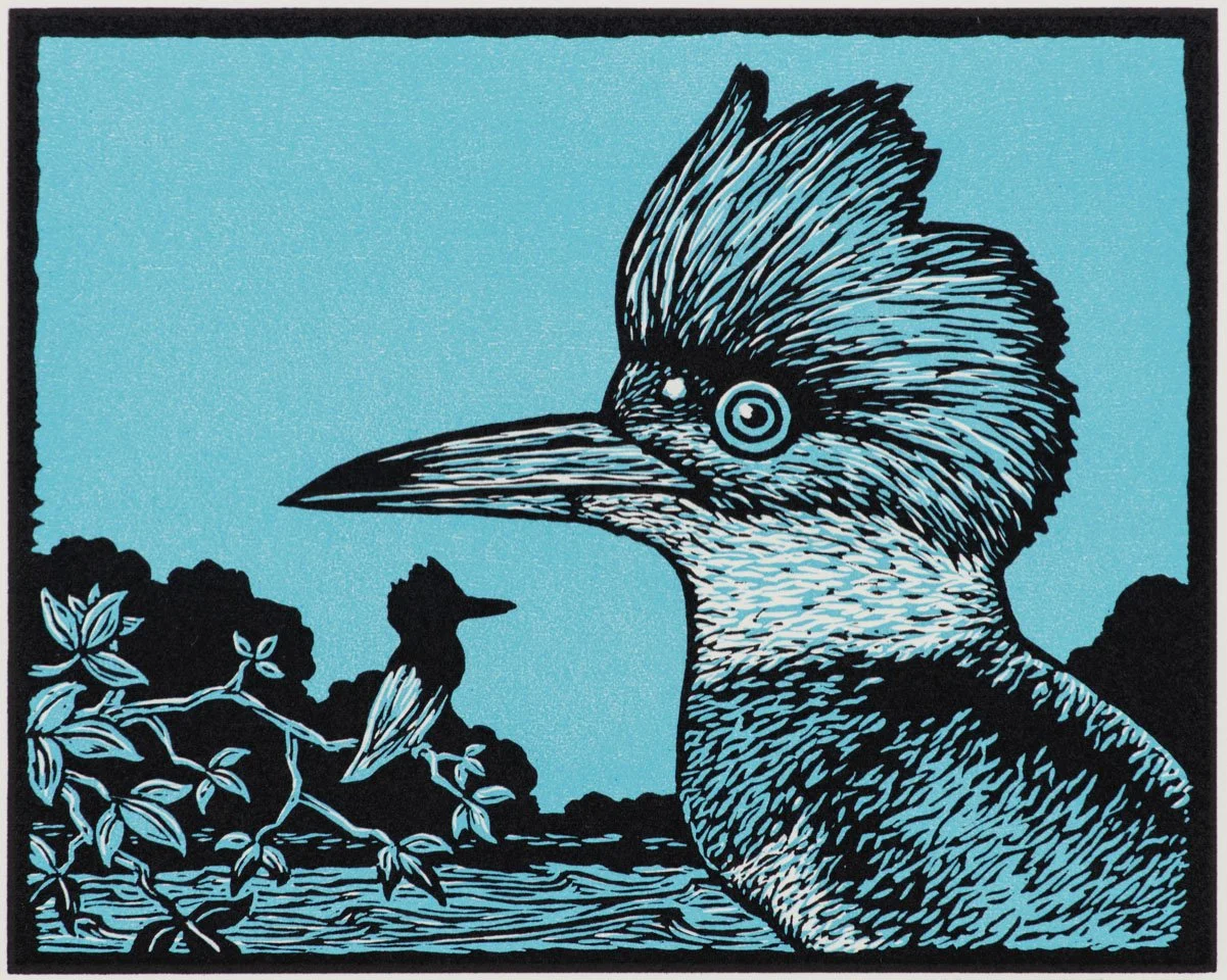 David Everett, Kingfisher, Color Woodcut, 8 x10, 2023 copy.jpg