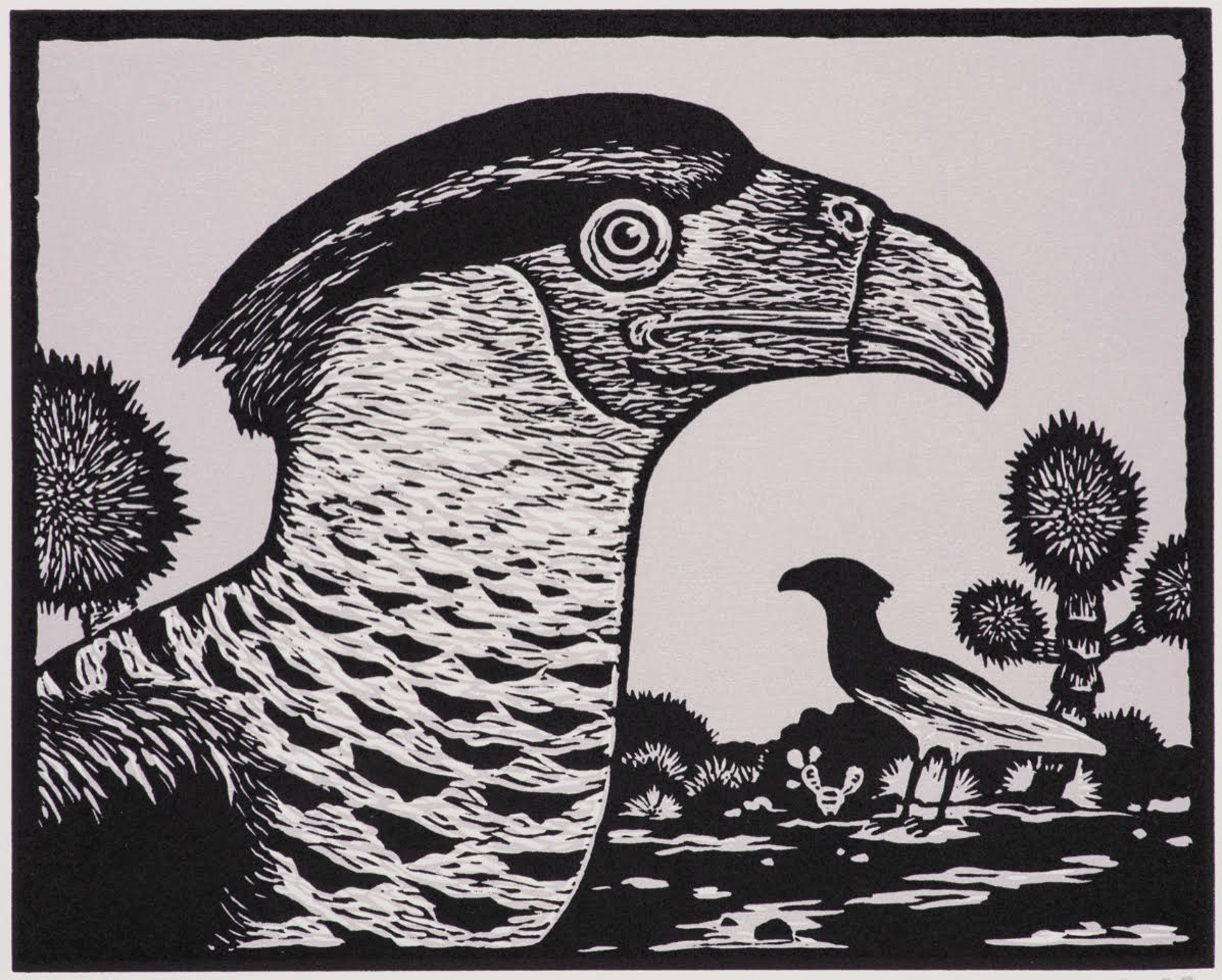 Caracara.jpg