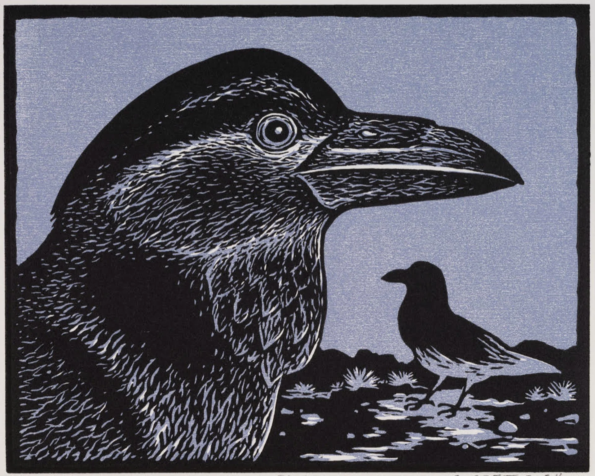 Raven.jpg