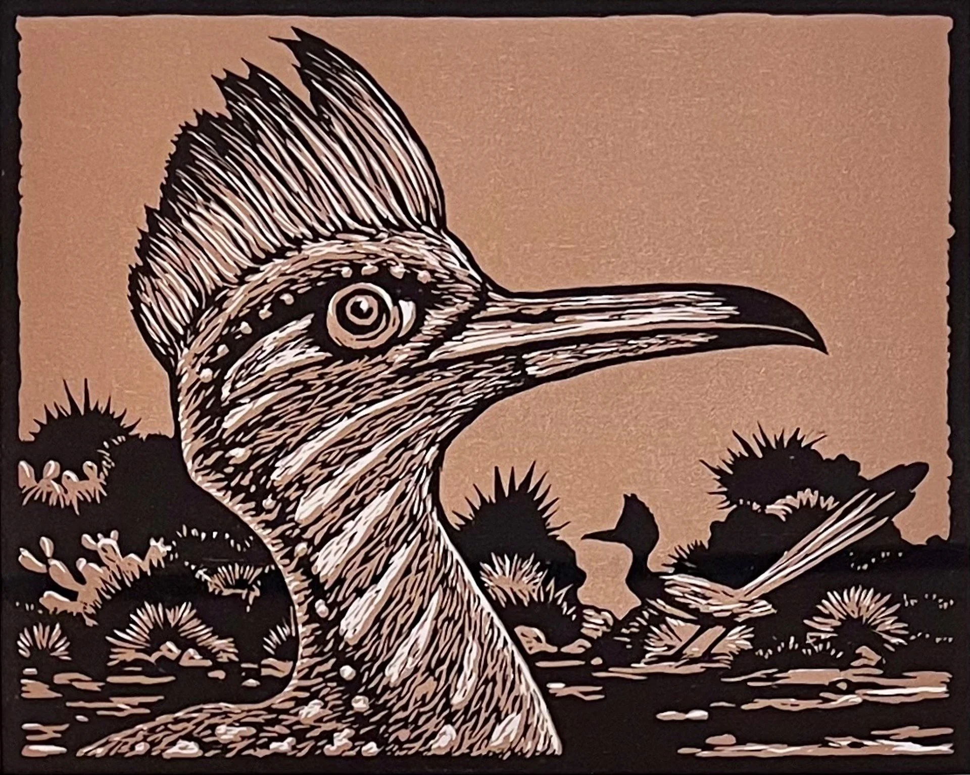 Roadrunner.jpg