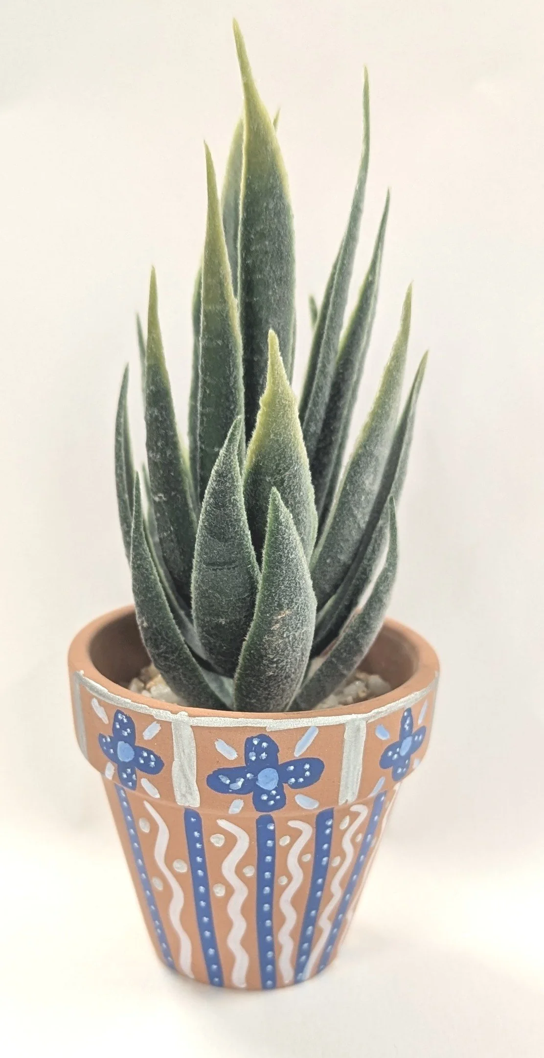 Spring is on the Way!