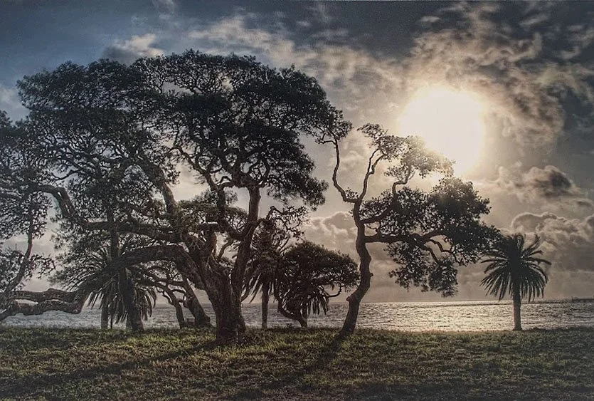 Pam Fulcher Fulton Sunrise.jpg