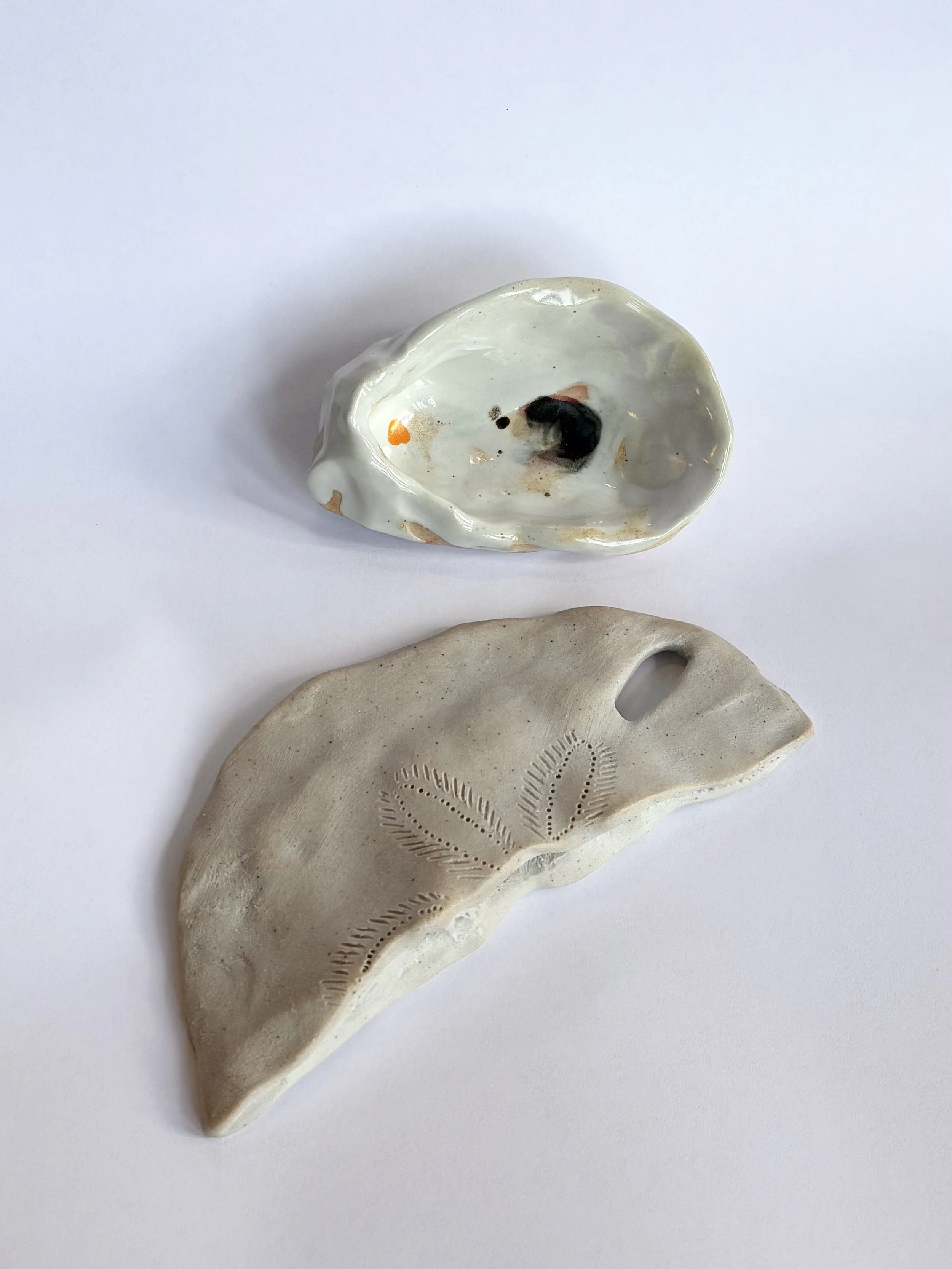 Oyster and sand dollar (2025).jpeg