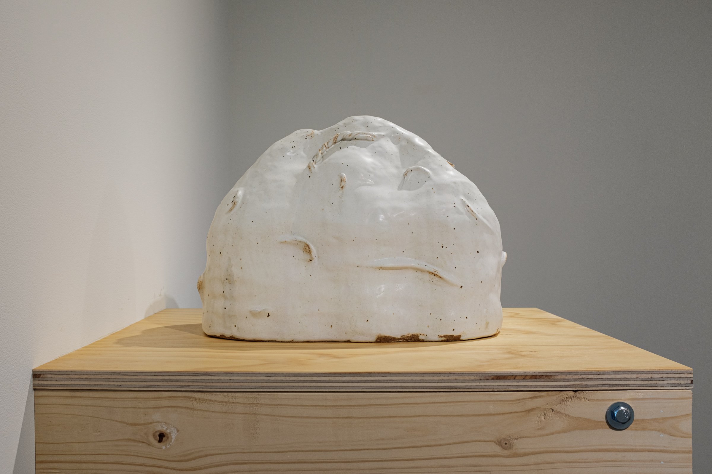 Anthropocene Dune.jpeg