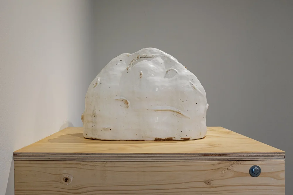 Anthropocene Dune.jpeg